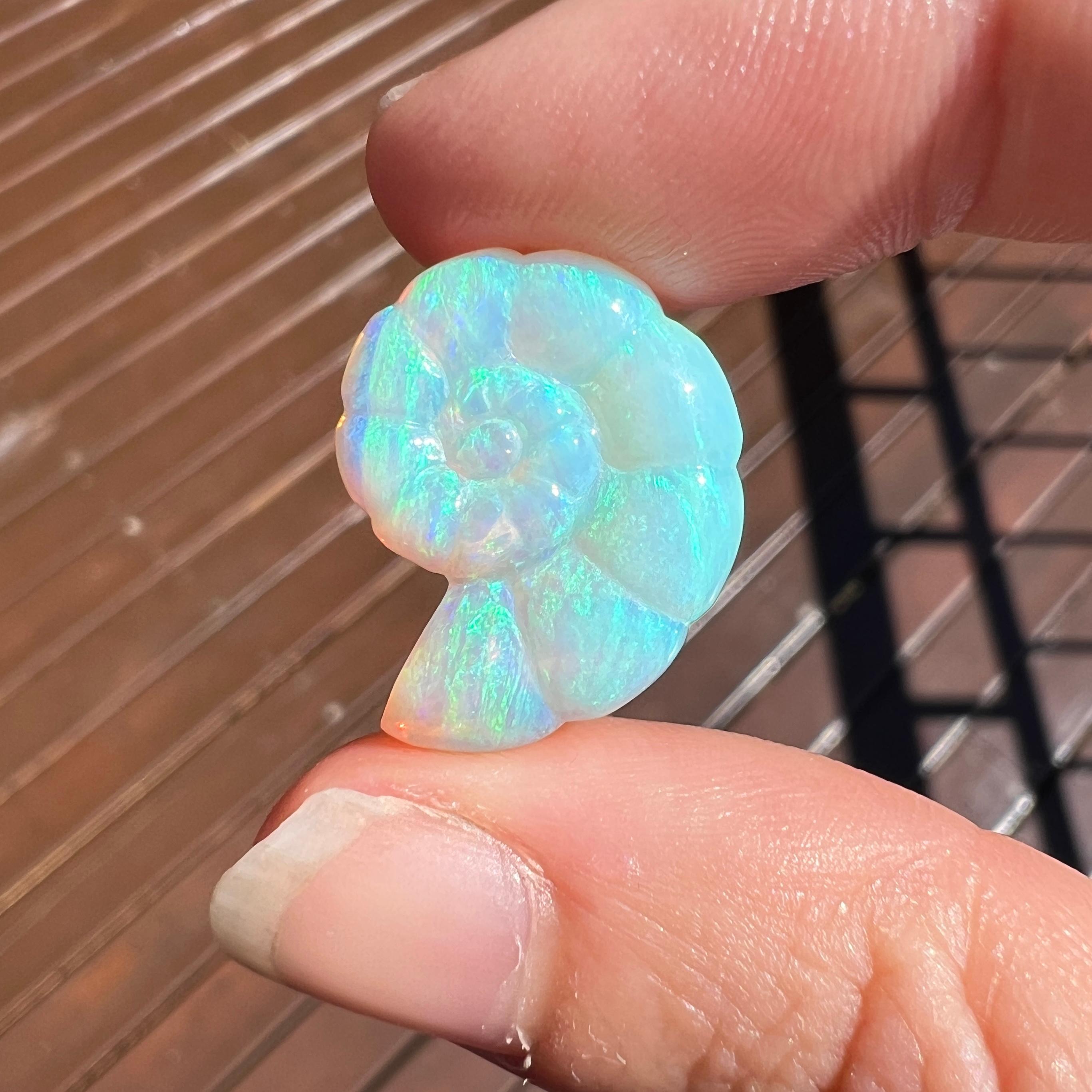 Natural 11.94 Ct Australian Crystal Nautilus opal carving mined by Sue Cooper In New Condition For Sale In BELCONNEN, ACT