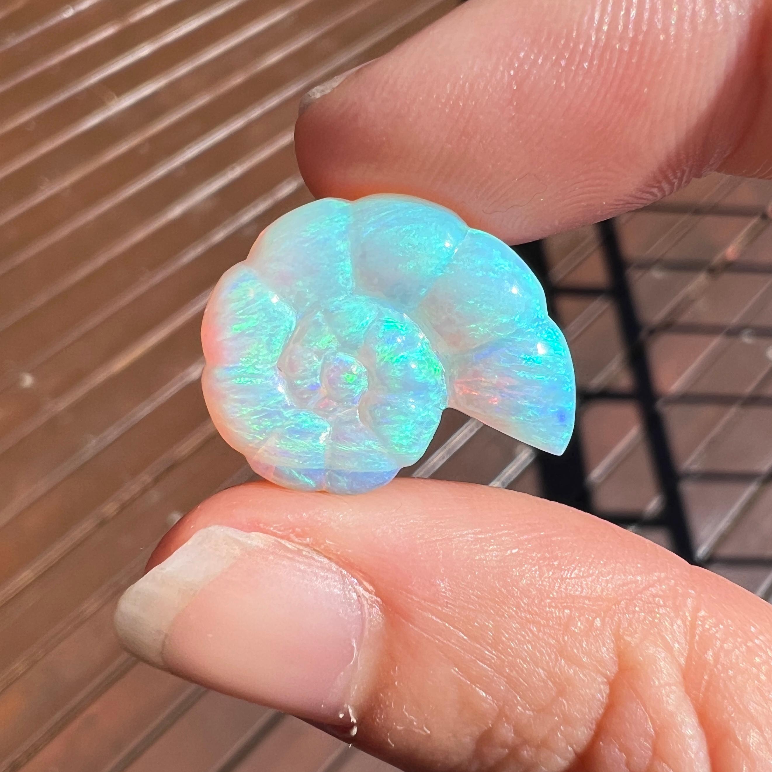 Women's Natural 11.94 Ct Australian Crystal Nautilus opal carving mined by Sue Cooper For Sale