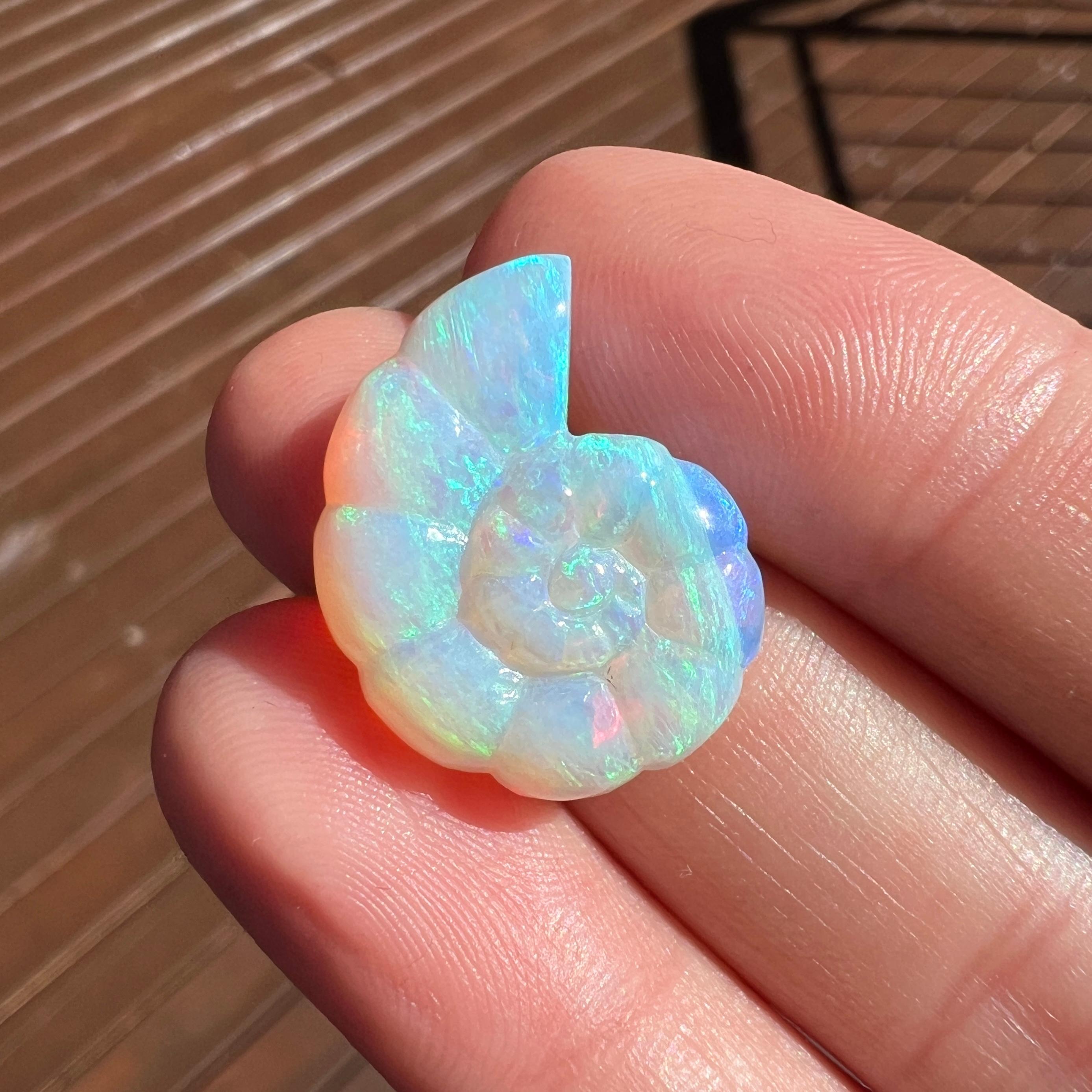 Natural 11.94 Ct Australian Crystal Nautilus opal carving mined by Sue Cooper For Sale 1