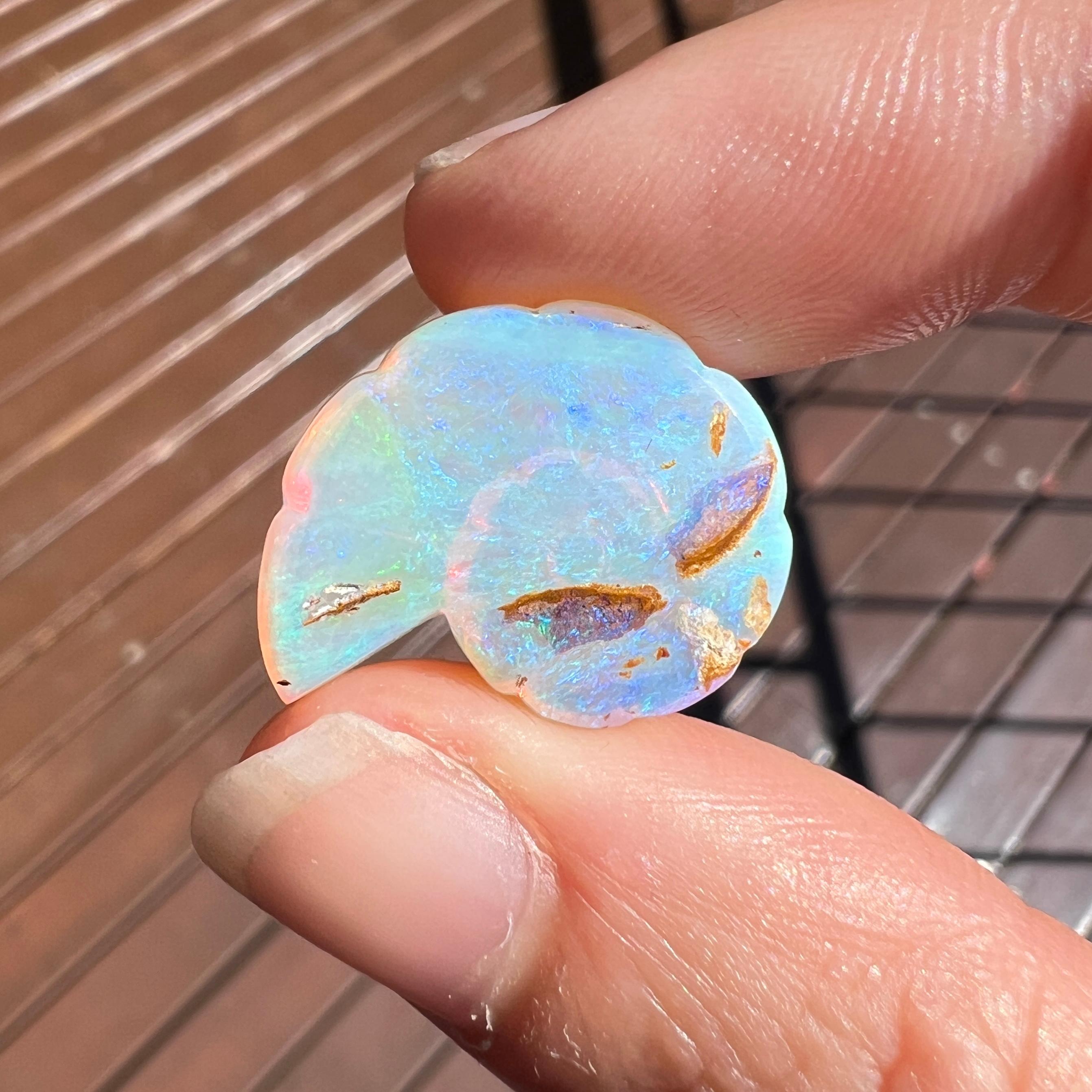 Natural 11.94 Ct Australian Crystal Nautilus opal carving mined by Sue Cooper For Sale 2