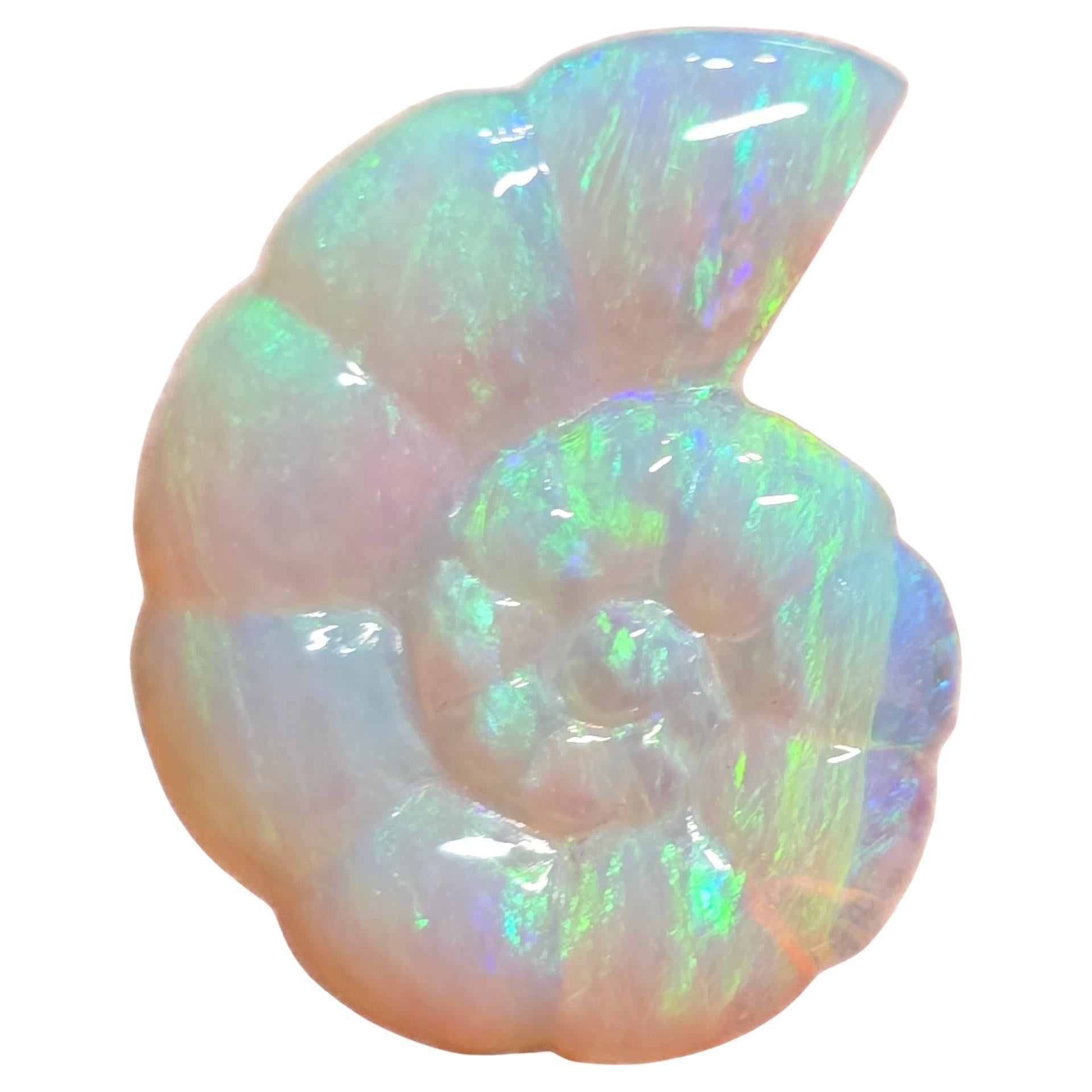 Natural 11.94 Ct Australian Crystal Nautilus opal carving mined by Sue Cooper For Sale