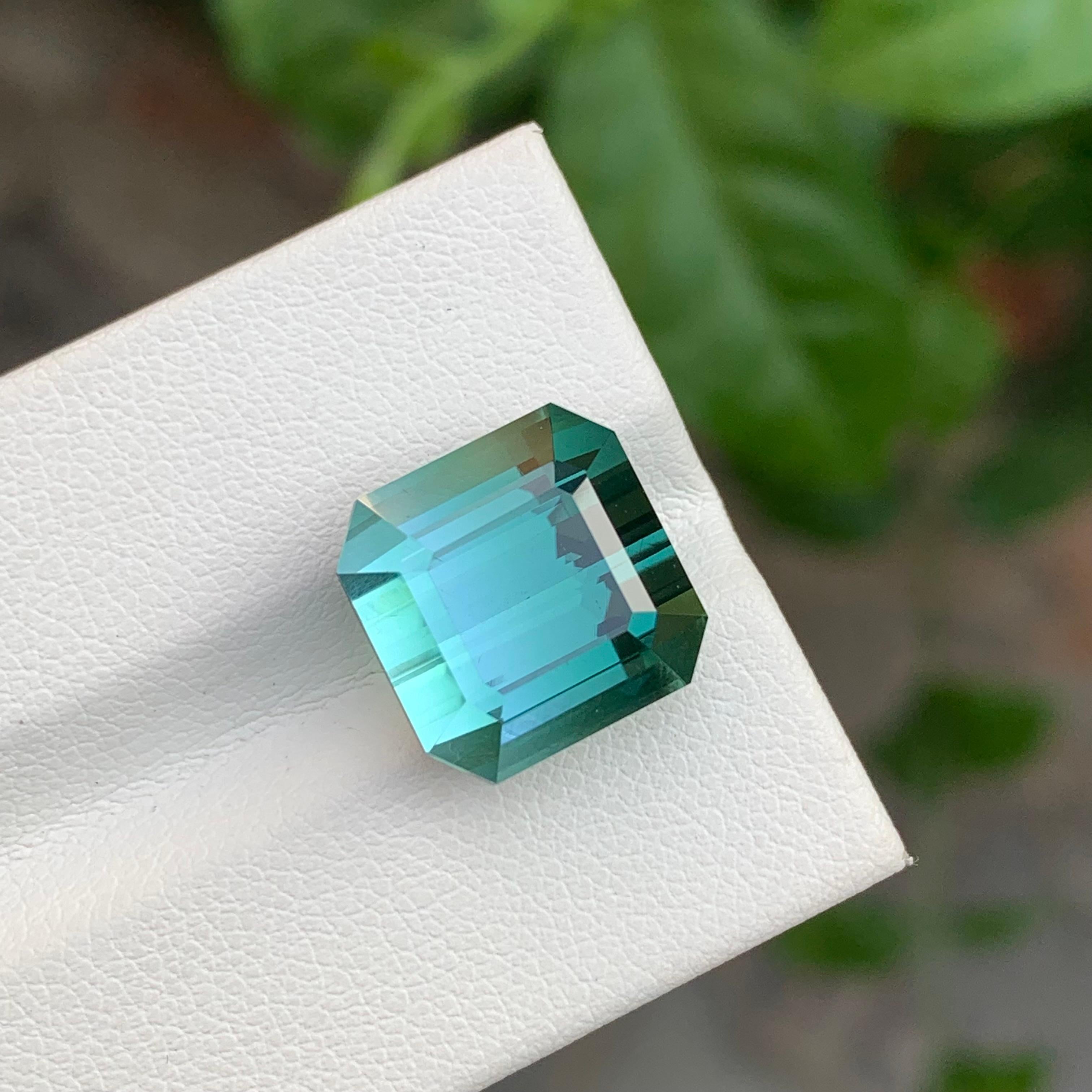 Tormalina bi-colore sfusa

Peso: 12,65 Carati
Dimensioni: 12,2 x 12,2 x 10 mm
Origine: Afghanistan
Certificato: Su richiesta
Trattamento: Non
Colore: Greene & Greene 
Forma: Quadrato perfetto 


La tormalina è una gemma affascinante nota per la sua