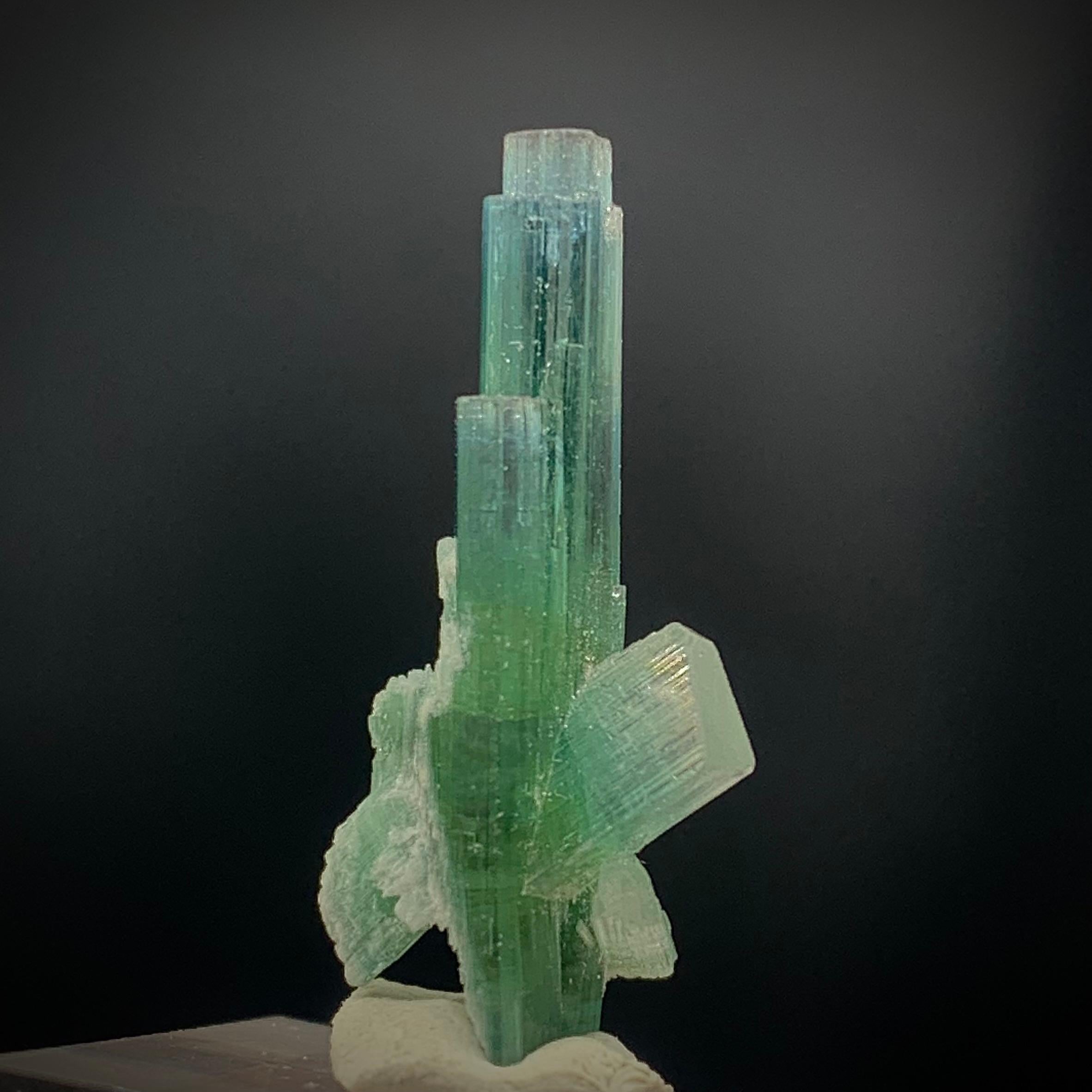 Natural Bi-Color Tourmaline Specimen From Kunar Afghanistan 
WEIGHT: 2.96 grams
DIMENSIONS: 3.2 x 1.5 x 1.0 Cm
ORIGIN: Kunar, Afghanistan 
TREATMENT : None
 
Tourmaline is an extremely popular gemstone; the name Tourmaline is derived from Turamali,