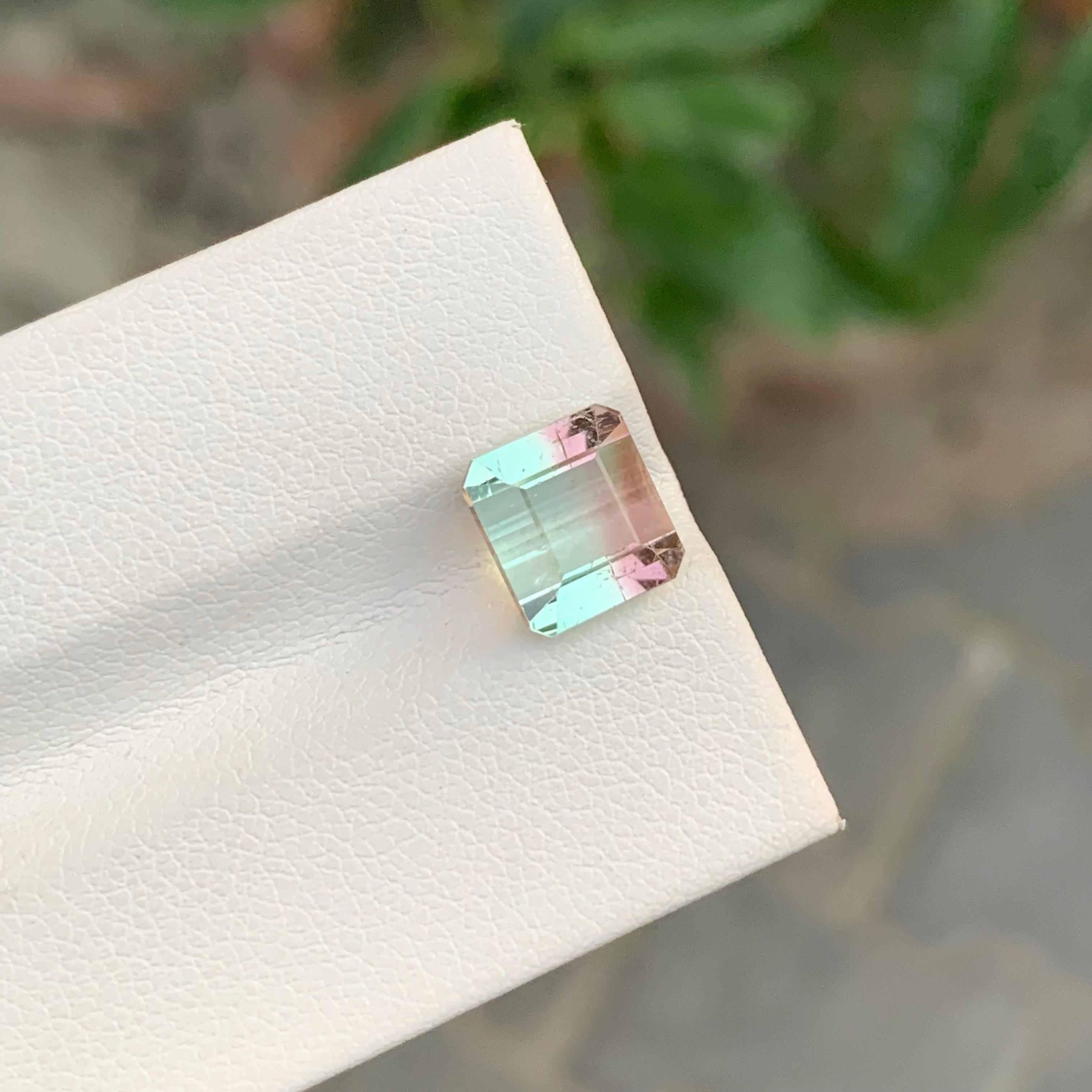 Nature 3.60 Carat Bi Colour Tourmaline Gemstone For Women's Ring en vente 4
