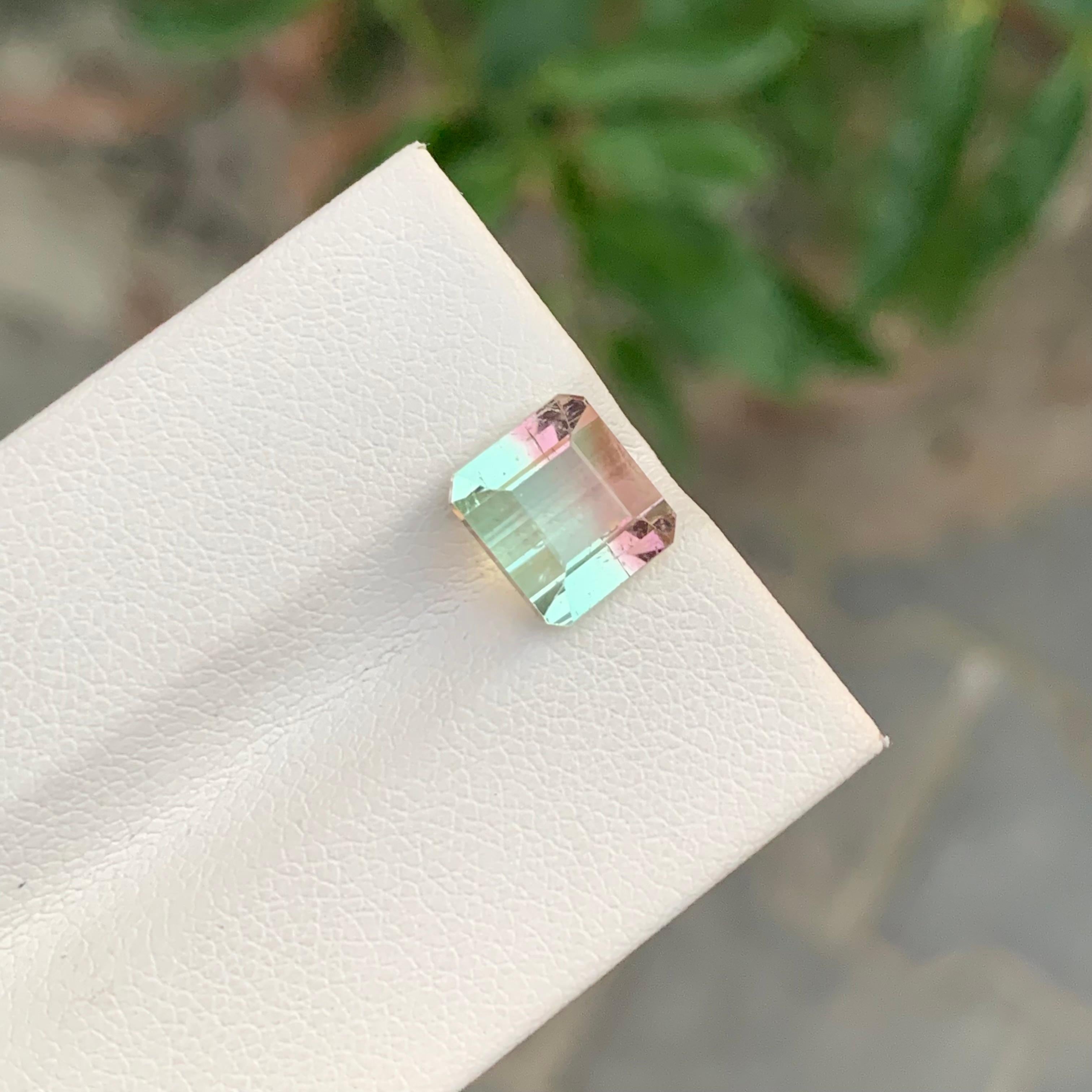 Nature 3.60 Carat Bi Colour Tourmaline Gemstone For Women's Ring en vente 5
