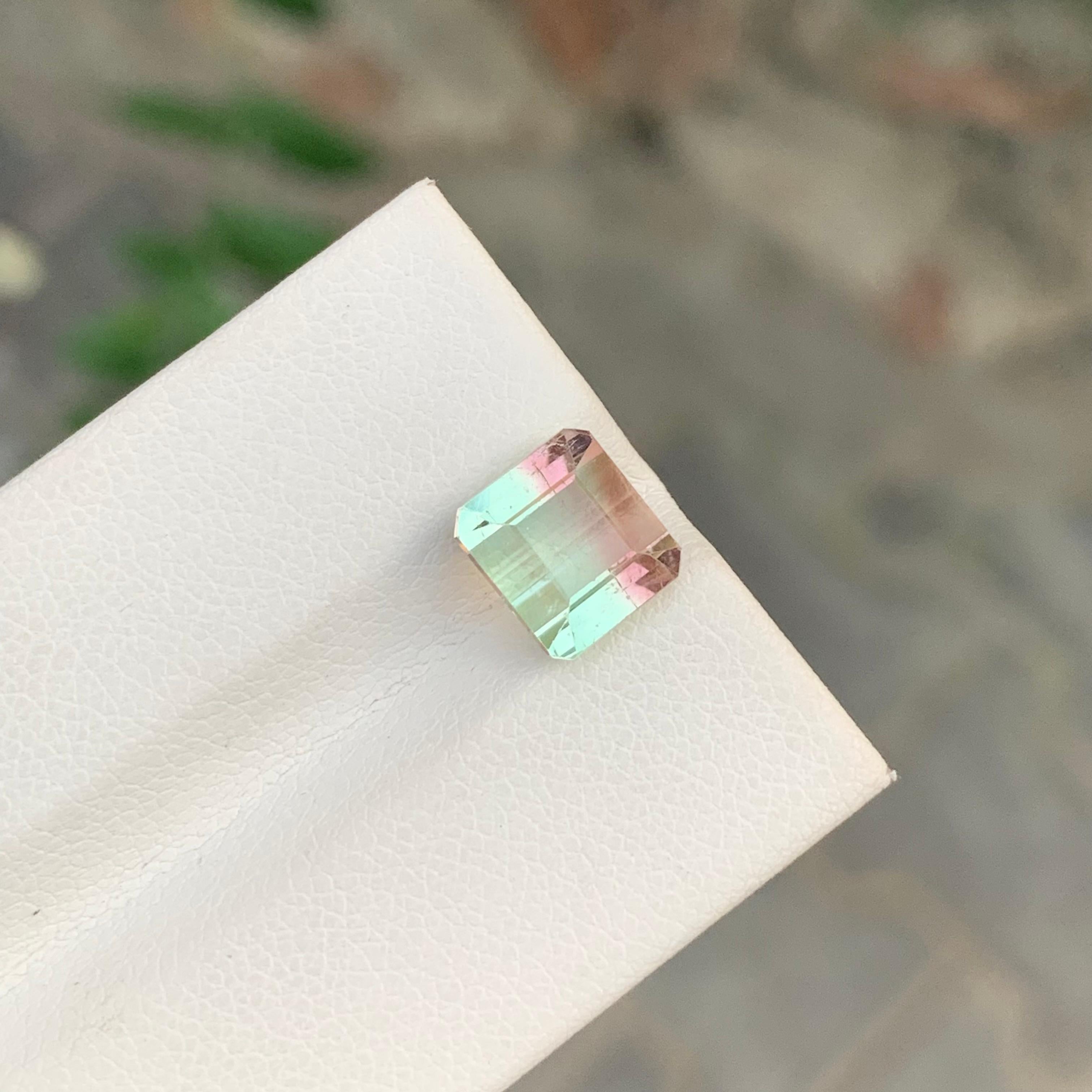 Arts and Crafts Nature 3.60 Carat Bi Colour Tourmaline Gemstone For Women's Ring en vente