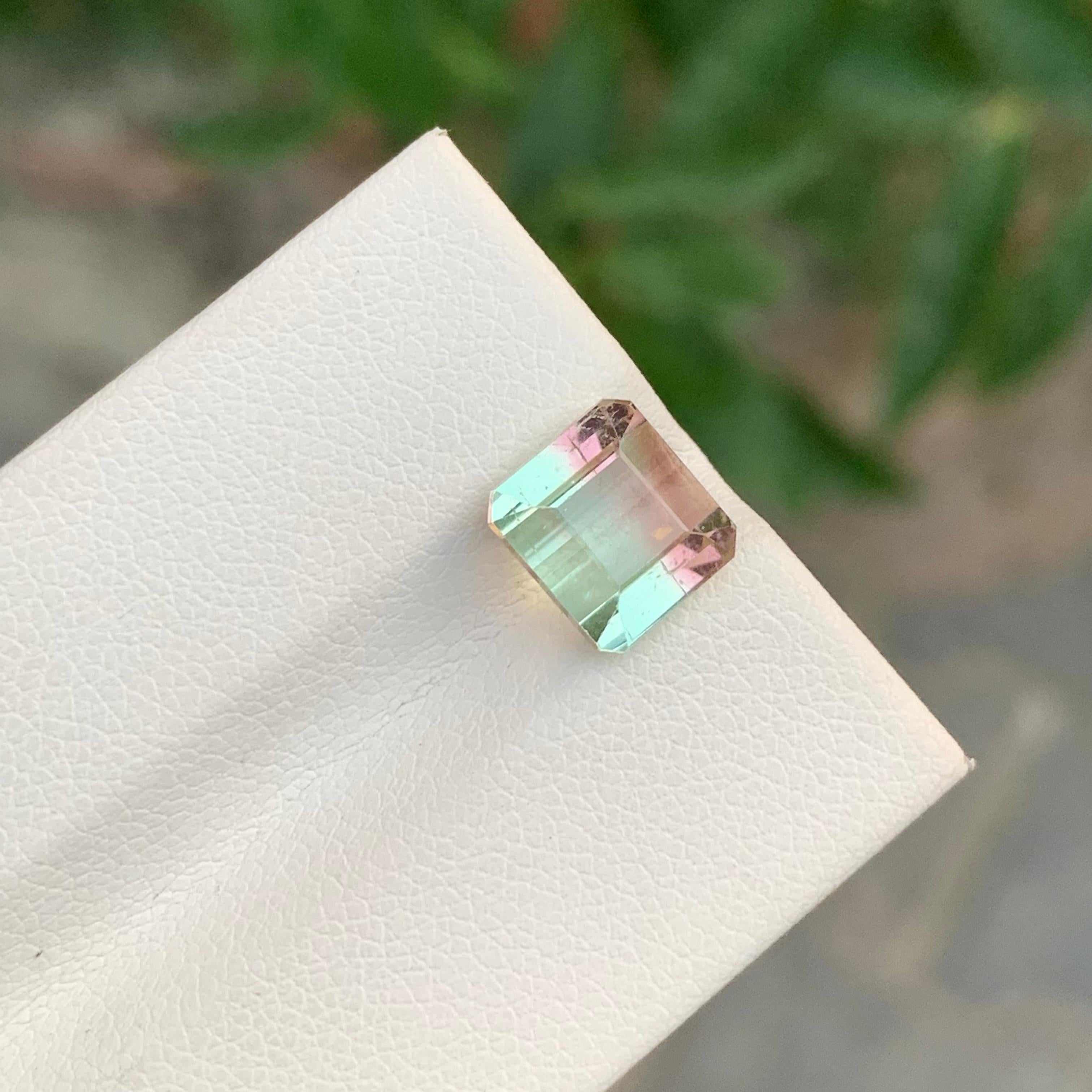 Nature 3.60 Carat Bi Colour Tourmaline Gemstone For Women's Ring Unisexe en vente