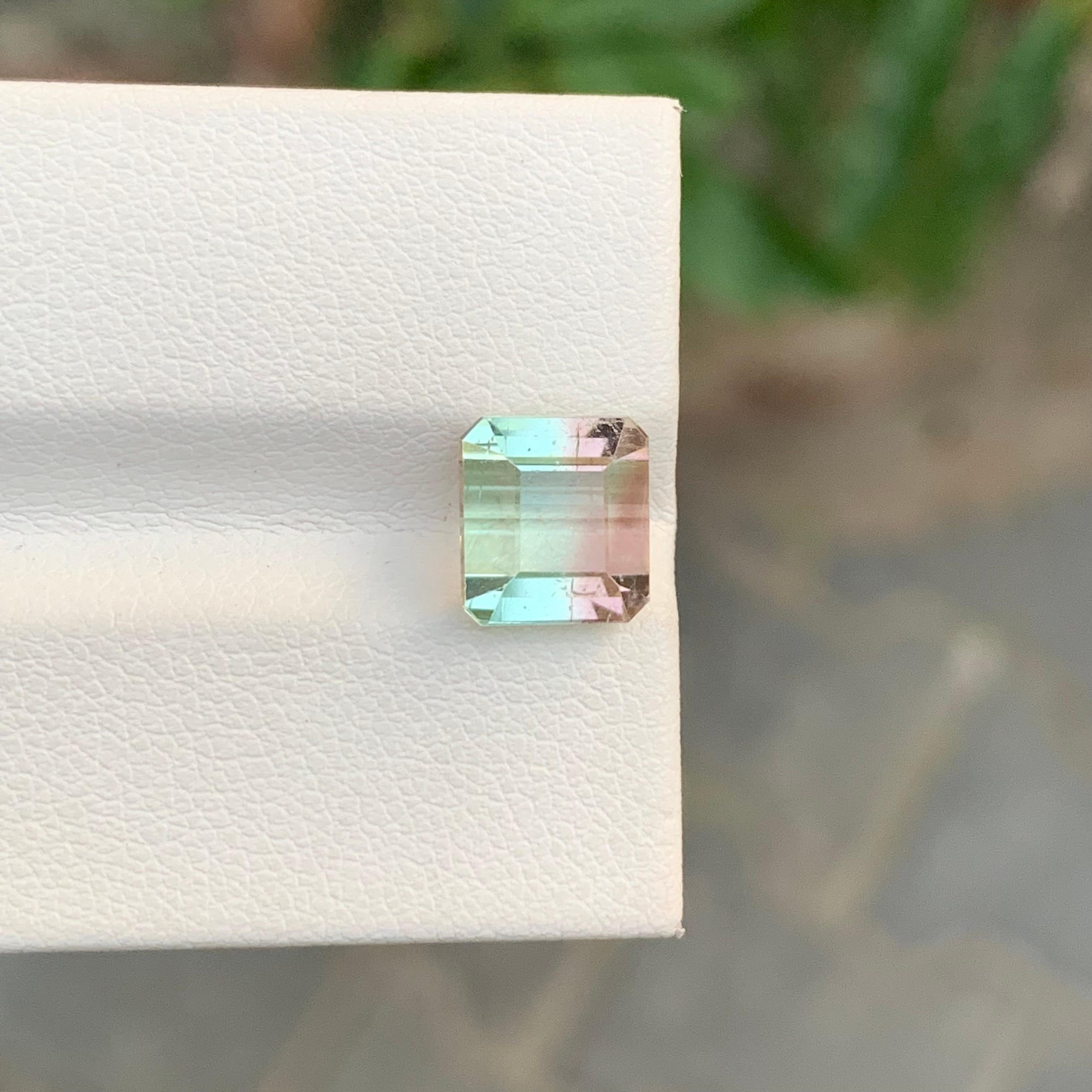 Nature 3.60 Carat Bi Colour Tourmaline Gemstone For Women's Ring en vente 3