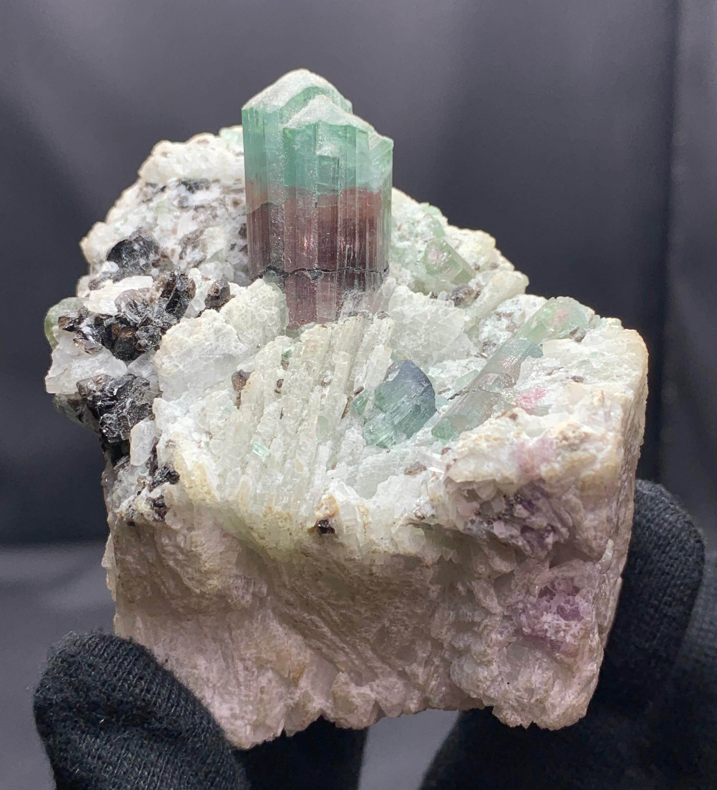 INFORMACIÓN SOBRE EL PRODUCTO:

Tipo de espécimen: Turmalina natural sobre cleavelandita 
Peso: 397 gramos
Dimensiones: 8,3 x 8,8 x 6,7 cm
Origen: Pegmatitas de Mavi, provincia de Laghman, Afganistán 
Tratamiento: *El Cristal de Turmalina Tiene Una