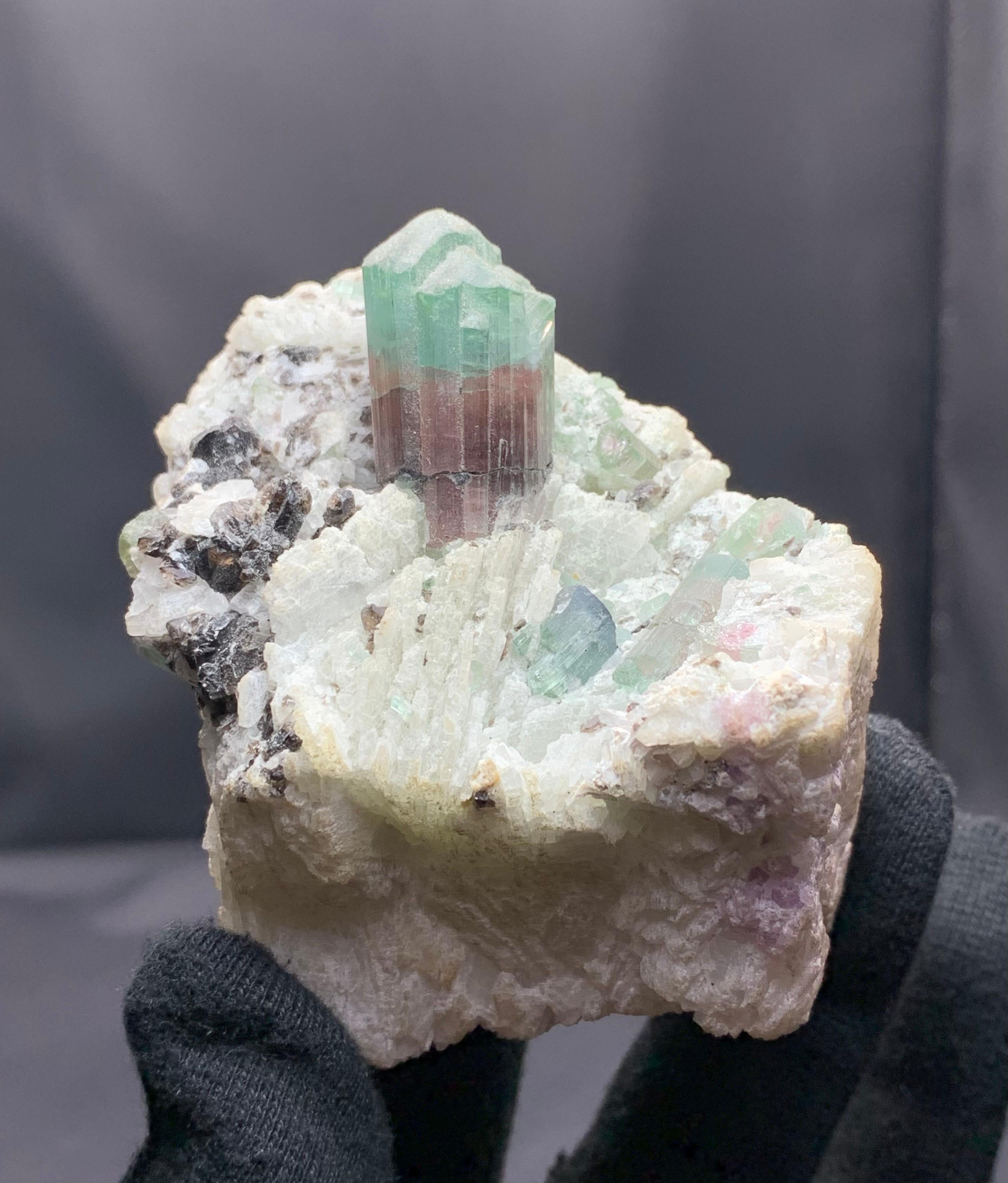 Turmalina sobre cleavelandita de las pegmatitas de Mawi, provincia de Laghman, Afganistán Estilo Adán en venta