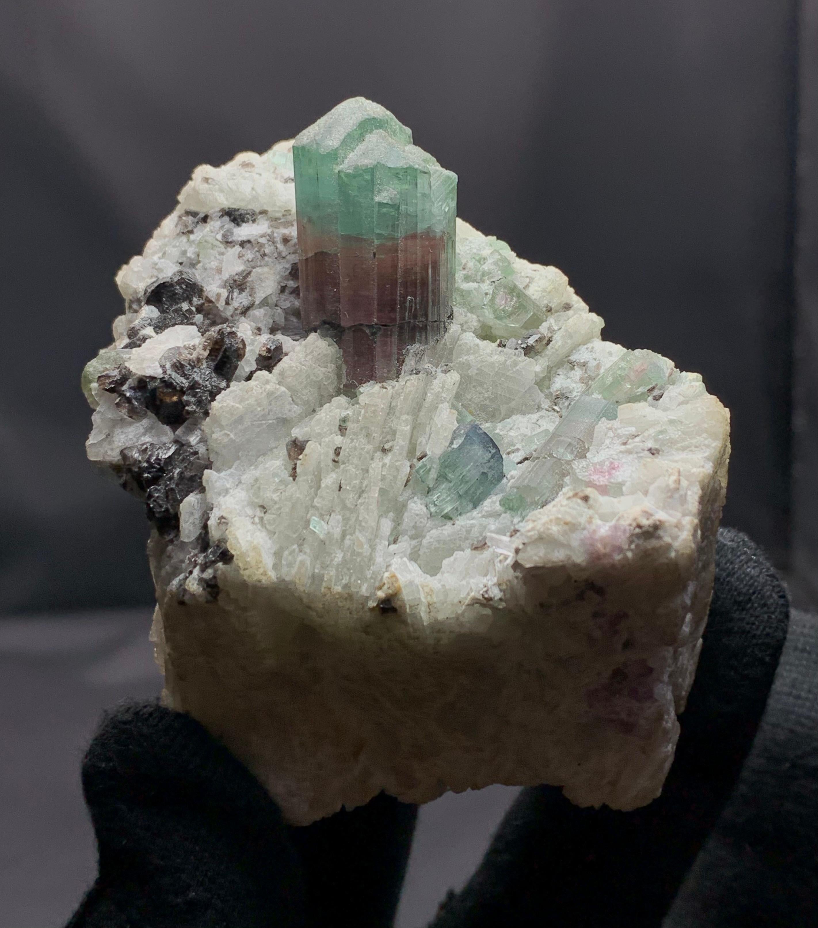 Turmalina sobre cleavelandita de las pegmatitas de Mawi, provincia de Laghman, Afganistán Afgano en venta