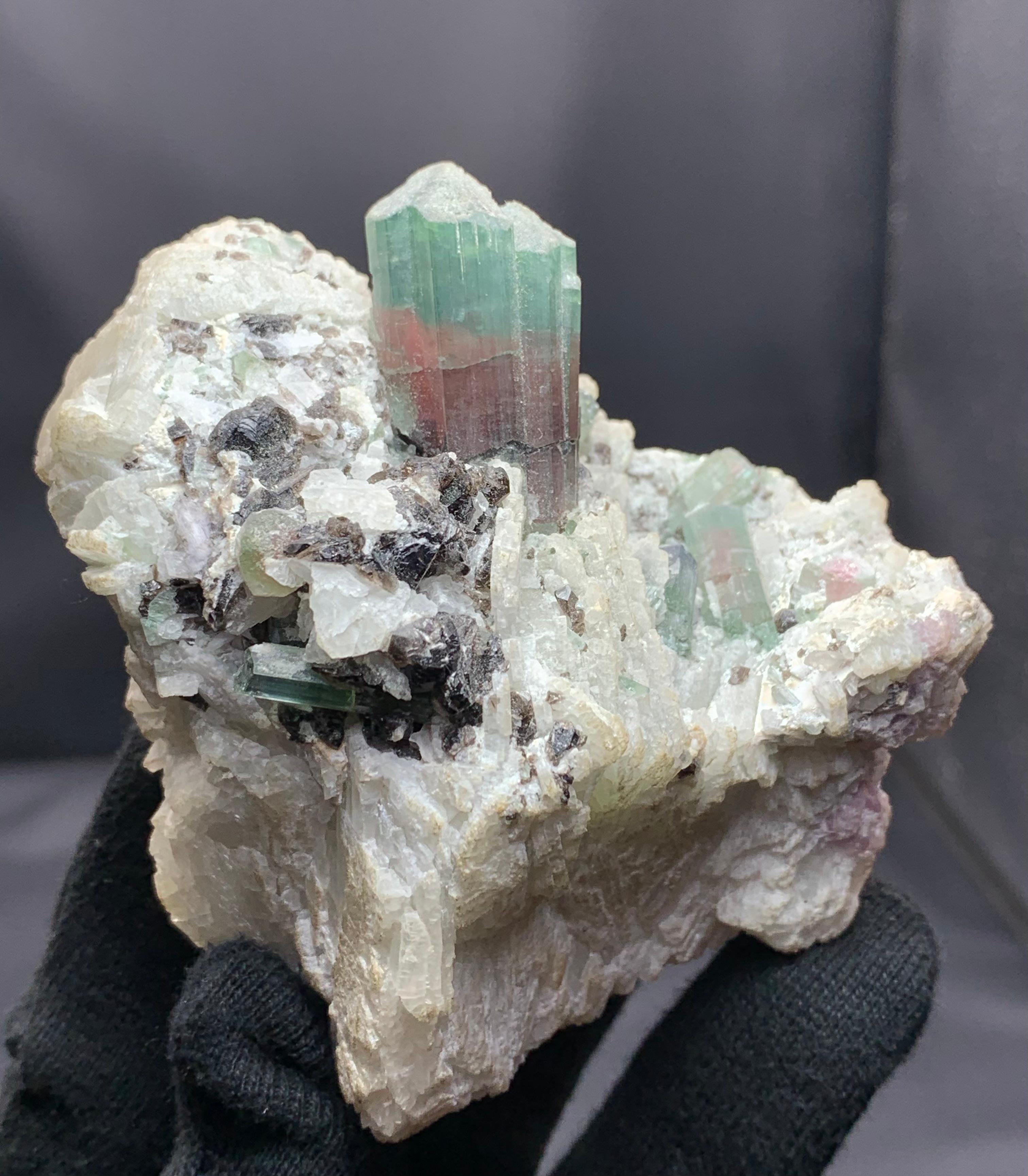 Turmalina sobre cleavelandita de las pegmatitas de Mawi, provincia de Laghman, Afganistán en Bueno estado para la venta en Peshawar, PK