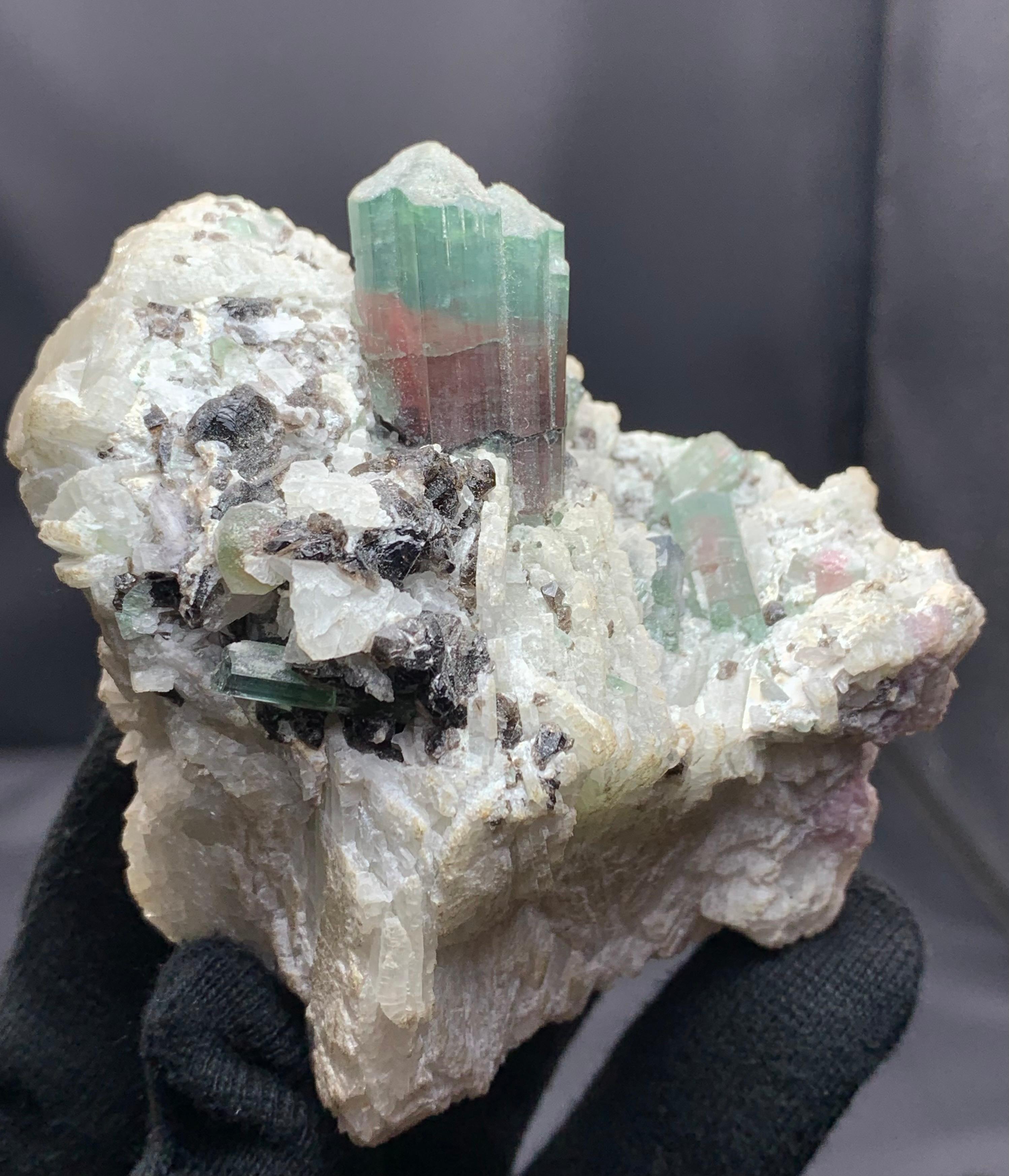 Turmalina sobre cleavelandita de las pegmatitas de Mawi, provincia de Laghman, Afganistán Otro en venta