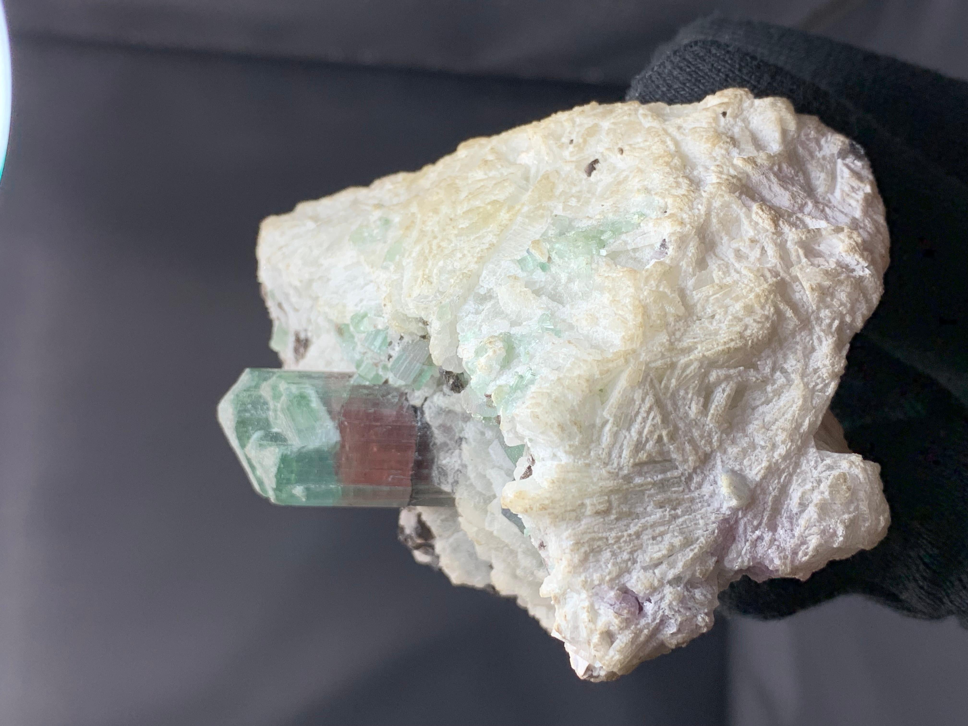 Turmalina sobre cleavelandita de las pegmatitas de Mawi, provincia de Laghman, Afganistán en venta 1