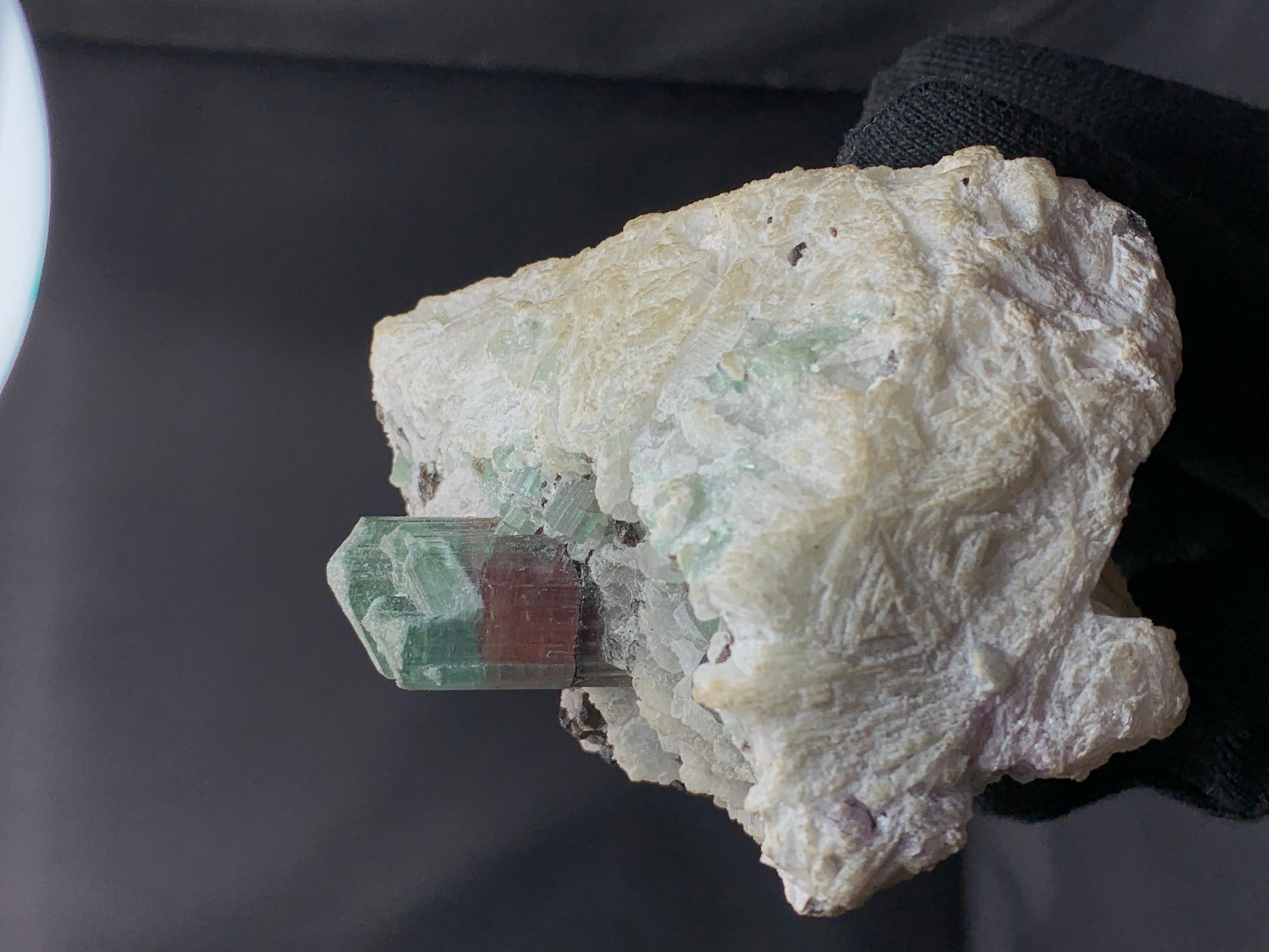 Turmalina sobre cleavelandita de las pegmatitas de Mawi, provincia de Laghman, Afganistán en venta 2