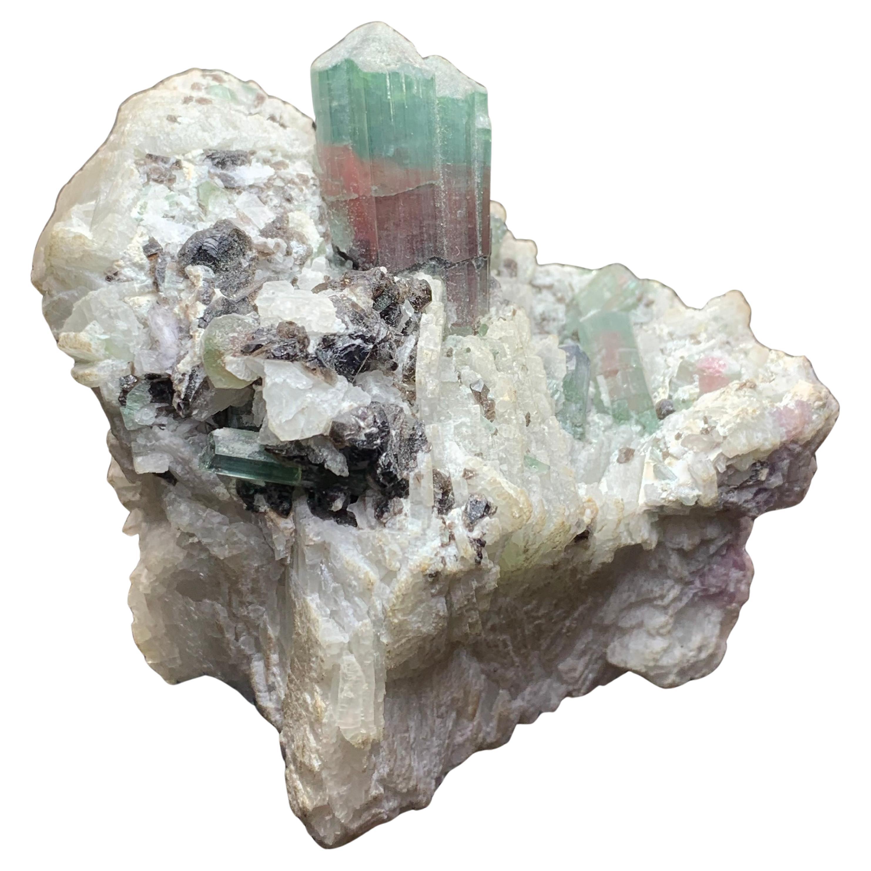 Turmalina sobre cleavelandita de las pegmatitas de Mawi, provincia de Laghman, Afganistán en venta
