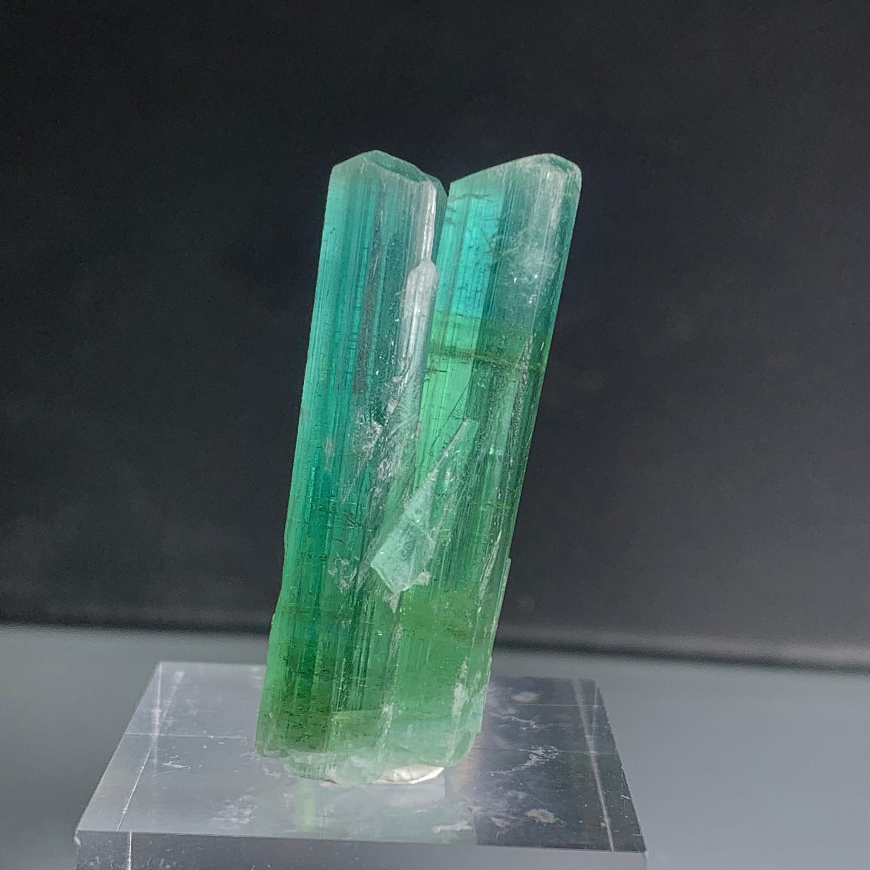 Adam Style Natural 44.30 Carat Bi Color Combined Tourmaline Crystal from Afghanistan For Sale