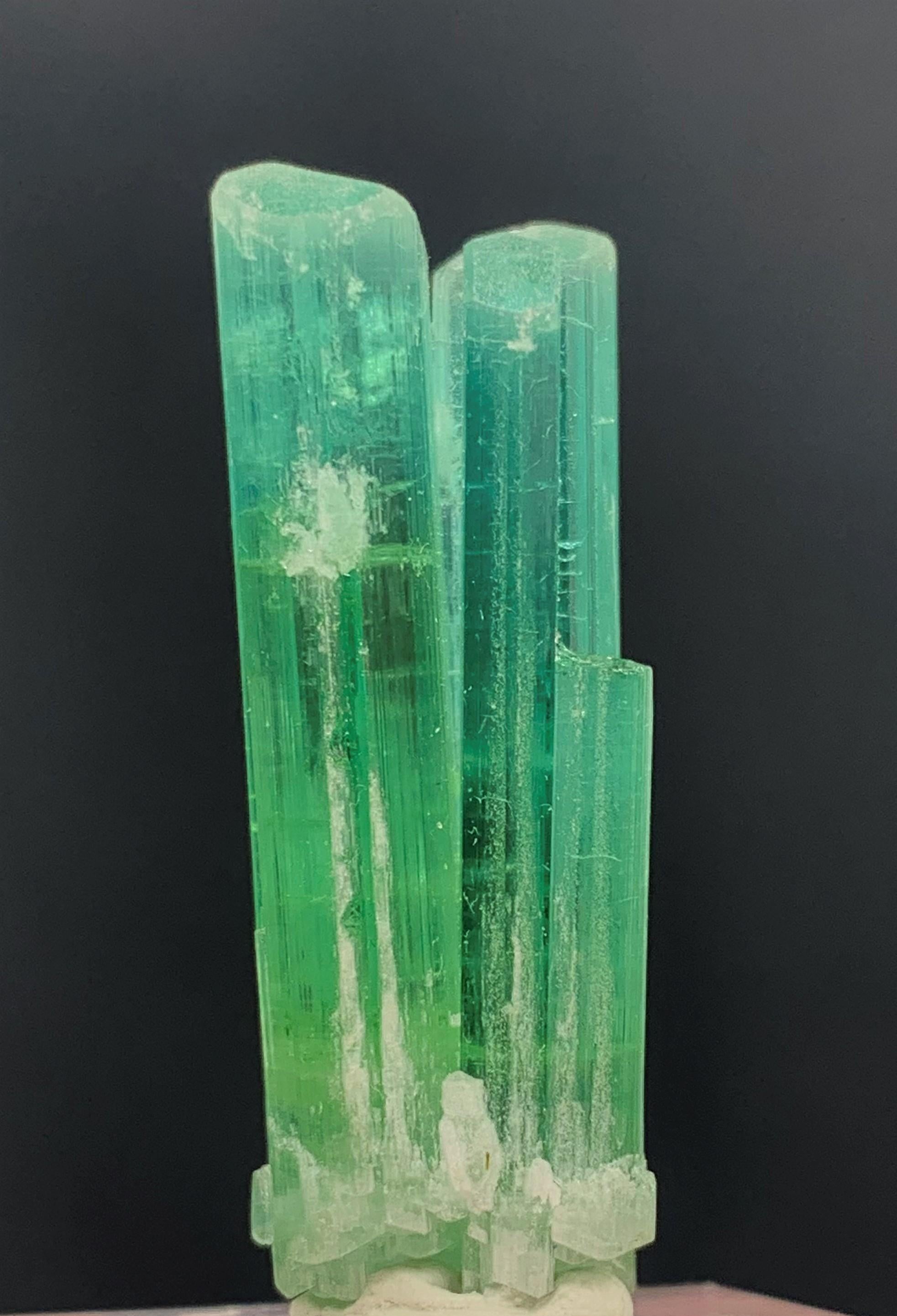 Other Natural 44.30 Carat Bi Color Combined Tourmaline Crystal from Afghanistan For Sale