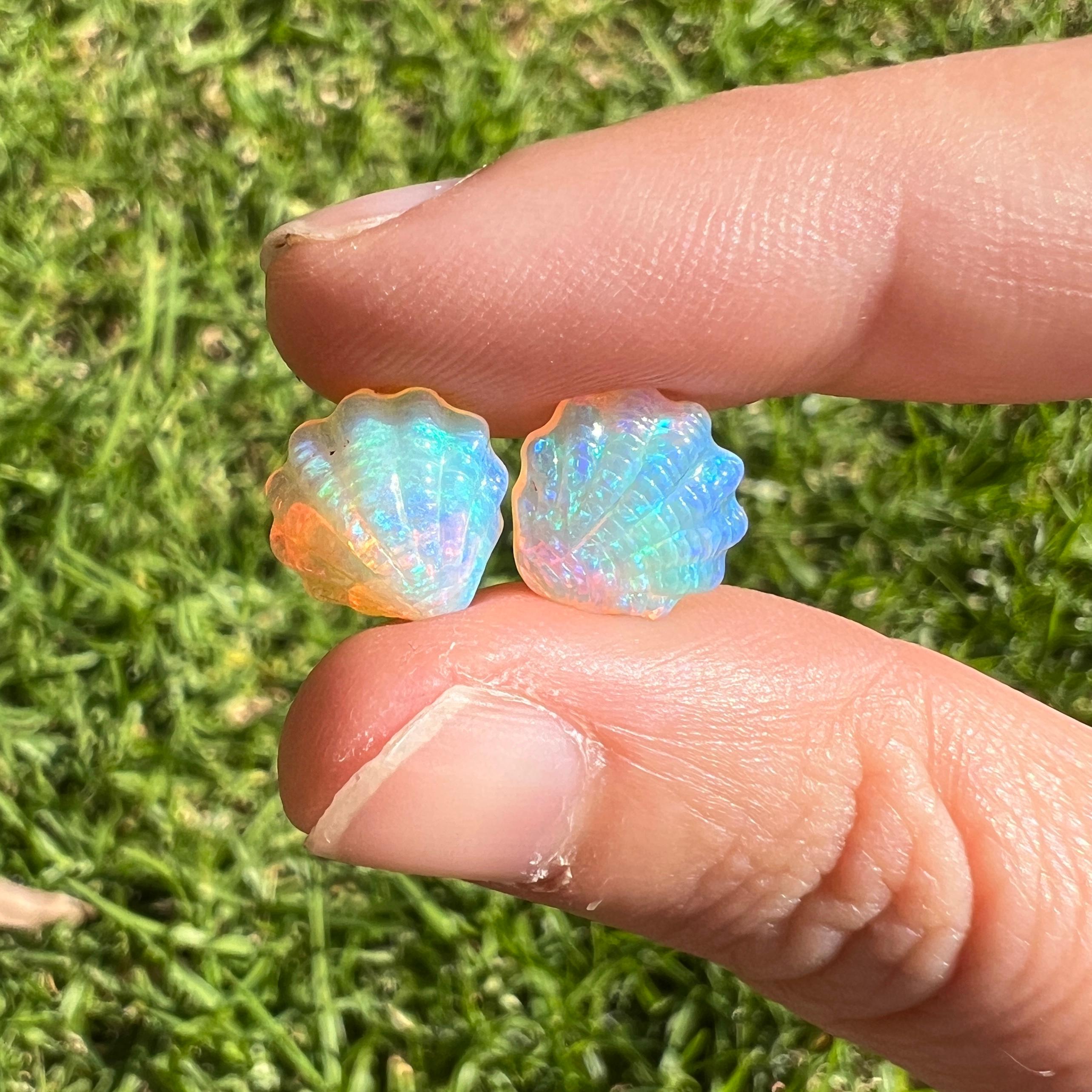 This beautiful 4.88 Ct Australian gem crystal opal pair, carved into shells, is a truly exceptional addition to any collection, mined by Sue Cooper herself. Its rarity, coupled with the amazing shell carving, captivates connoisseurs with its vibrant