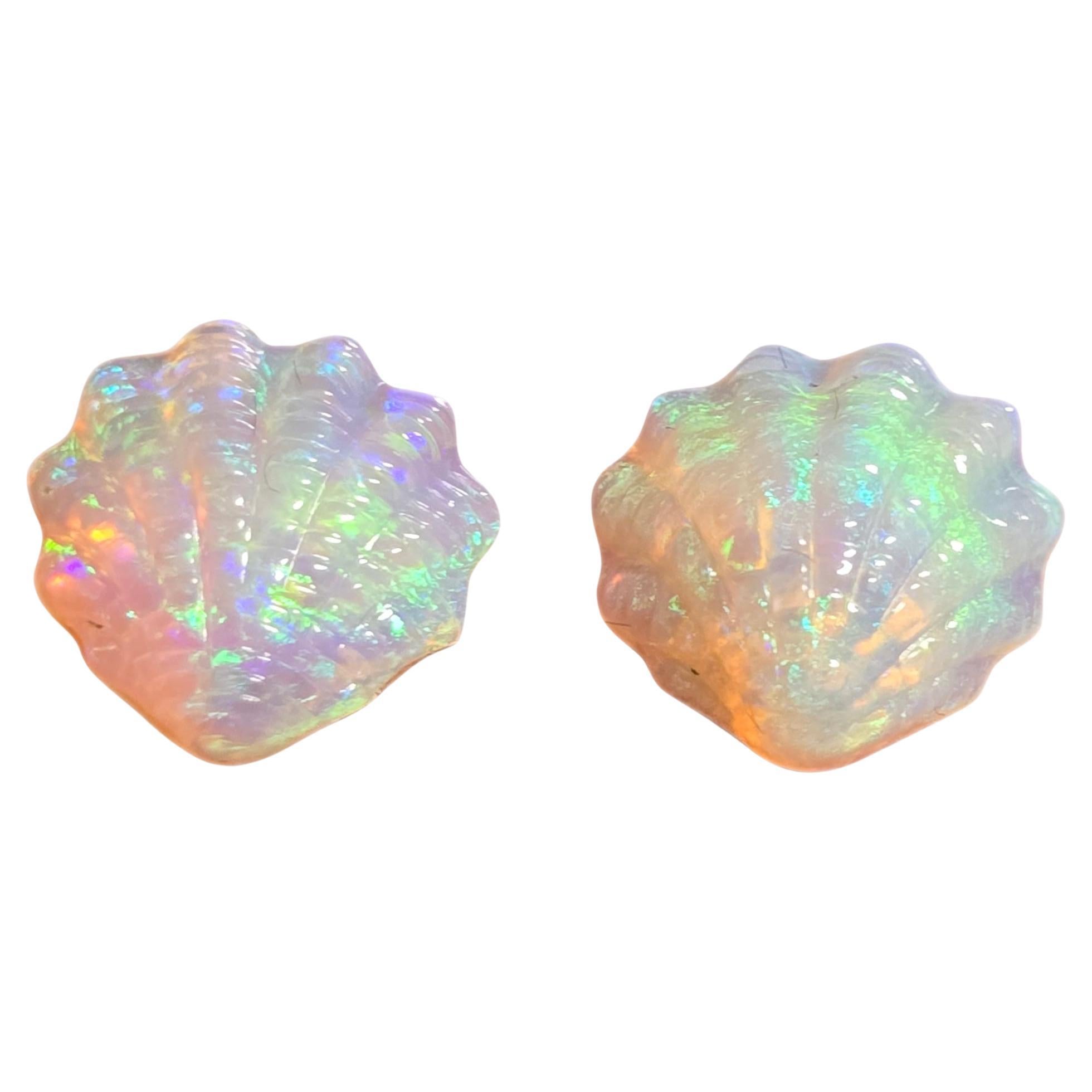 Natural 4.88 Ct Crystal Shell Australian opal pair mined by Sue Cooper For Sale