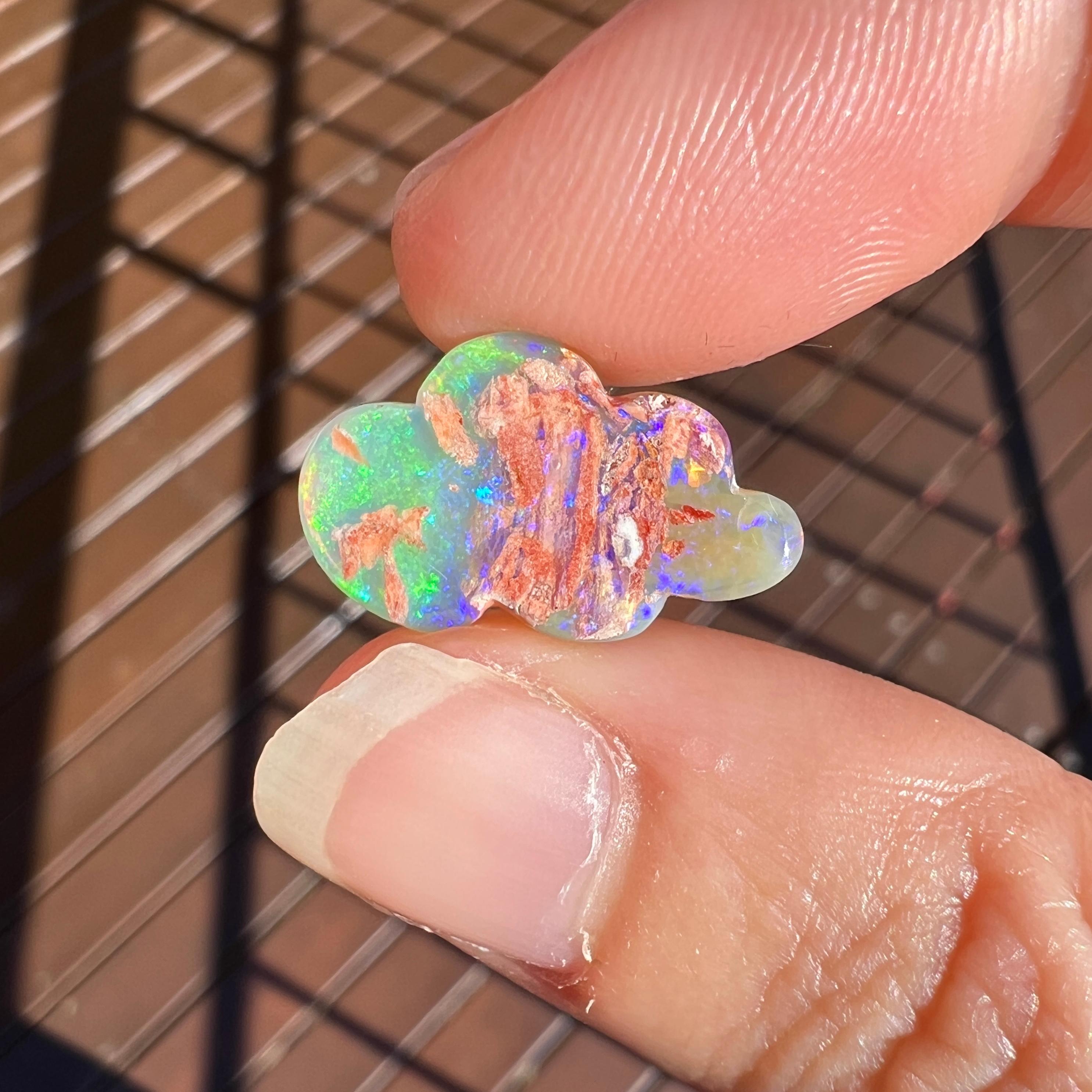 Natürlicher, natürlicher, 4,95 Karat Holz, Replacement-Opal aus Wolken Boulder, abgebaut von Sue Cooper 1