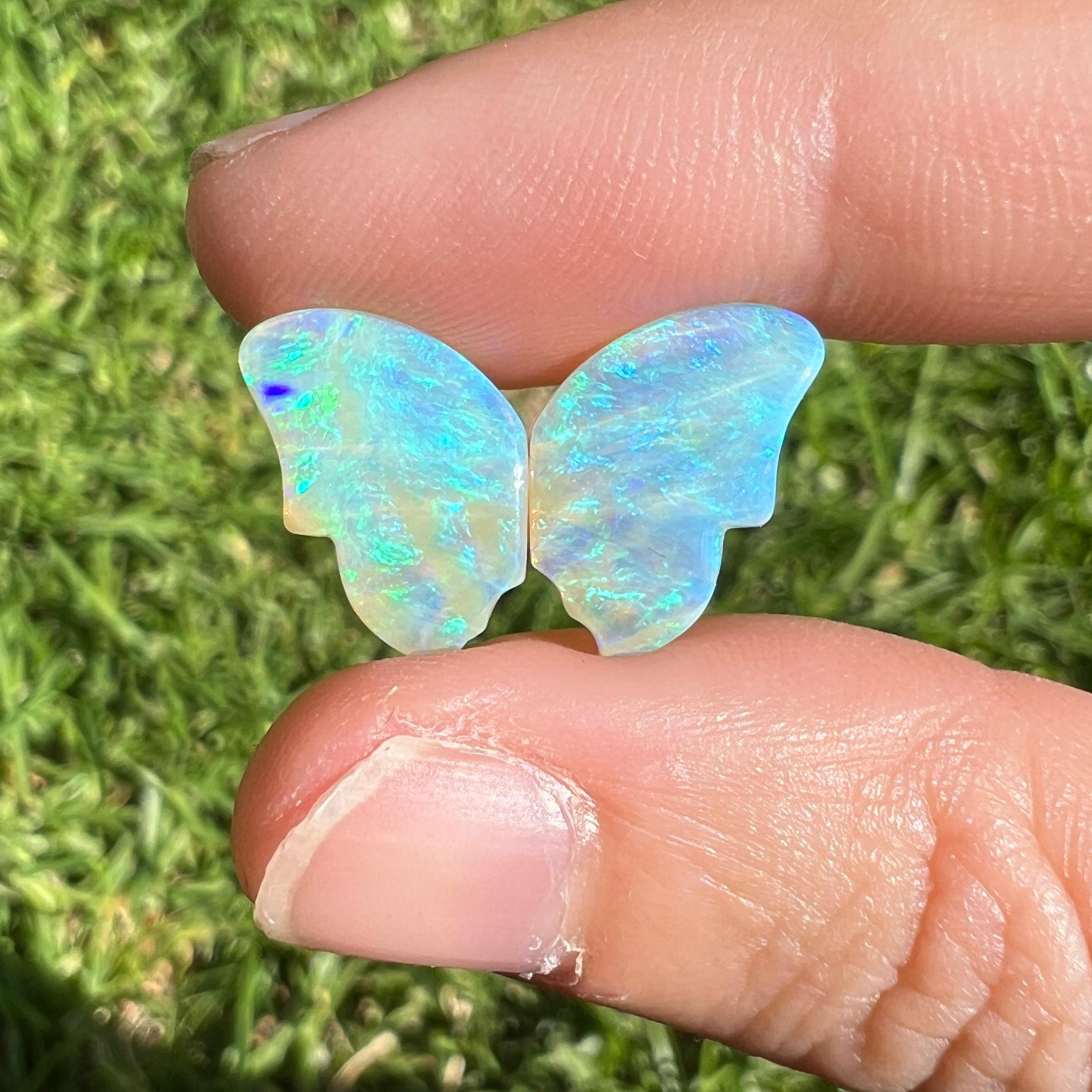 This lovely 5.10 Ct natural Australian crystal opal, carved into a pair of butterfly wings, is a truly exceptional addition to any collection, mined by Sue Cooper herself. Its rarity, coupled with the amazing winged carving, captivates connoisseurs