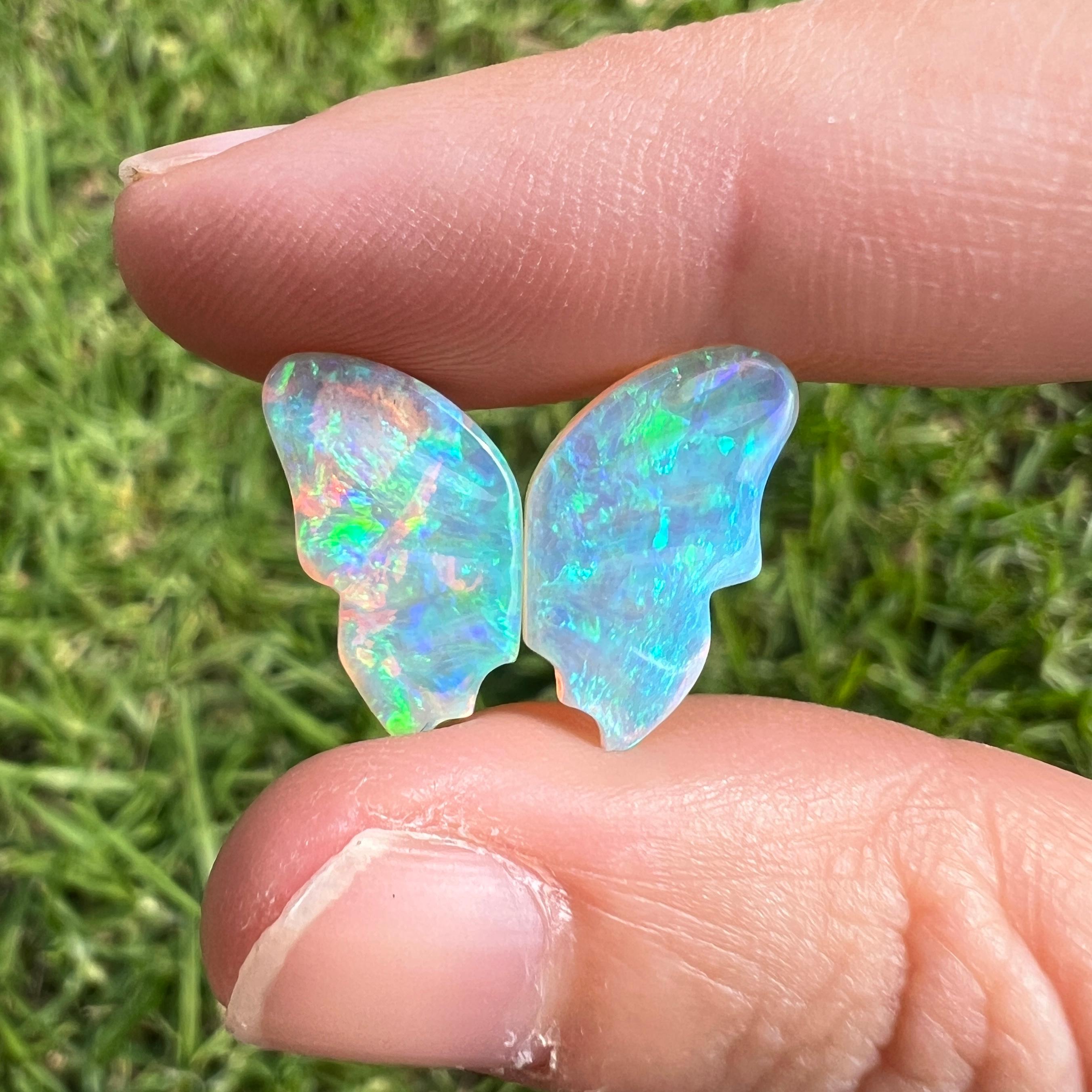 Dieser wunderschöne australische Edelsteinopal von 5.53 Karat in Form eines Paares von Schmetterlingsflügeln ist eine wirklich außergewöhnliche Ergänzung für jede Sammlung und wurde von Sue Cooper selbst abgebaut. Seine Seltenheit, gepaart mit der