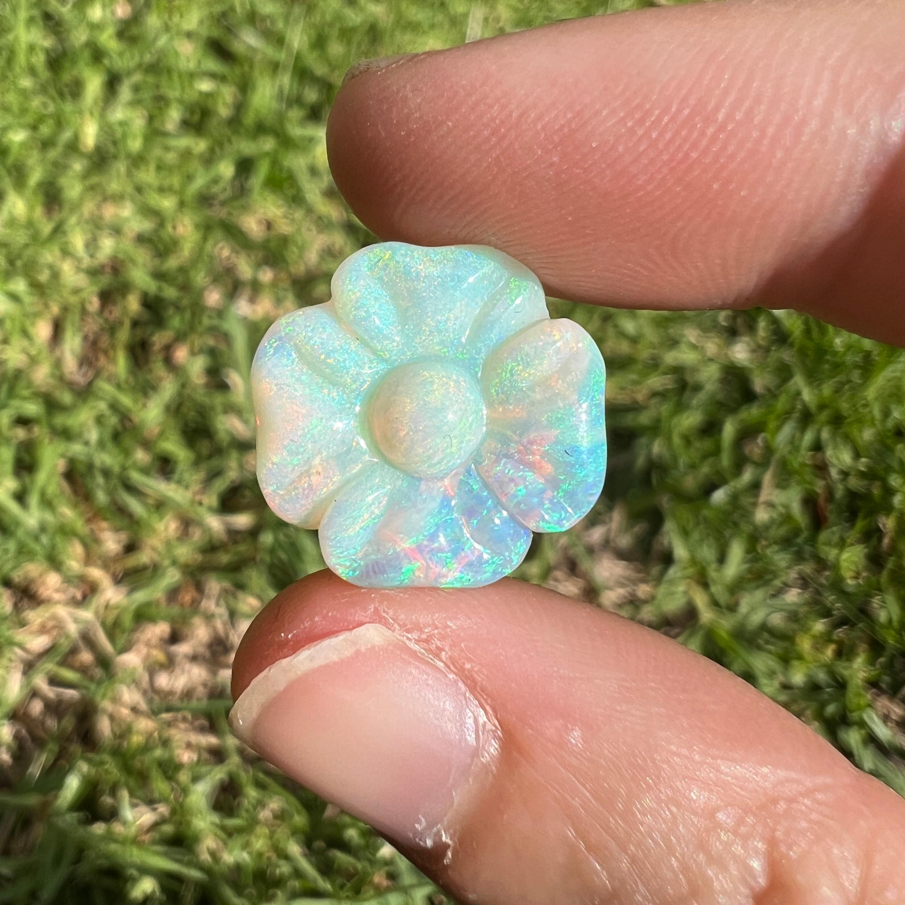 This beautiful 5.95 Ct Australian crystal opal, carved into a flower, is a truly exceptional addition to any collection, mined by Sue Cooper herself. Its rarity, coupled with the amazing carving, captivates connoisseurs with its vibrant rainbow