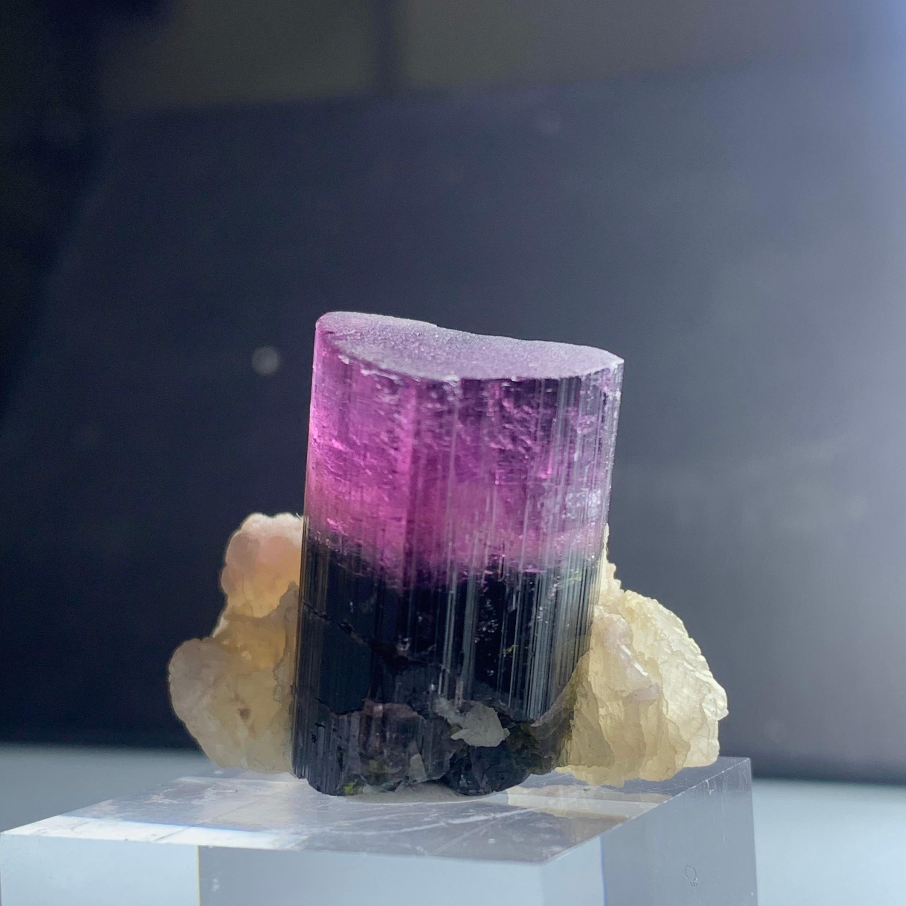 Natural 81.95 Gram Bicolor Tourmaline Crystal Elongated on Mica Specimen For Sale 3