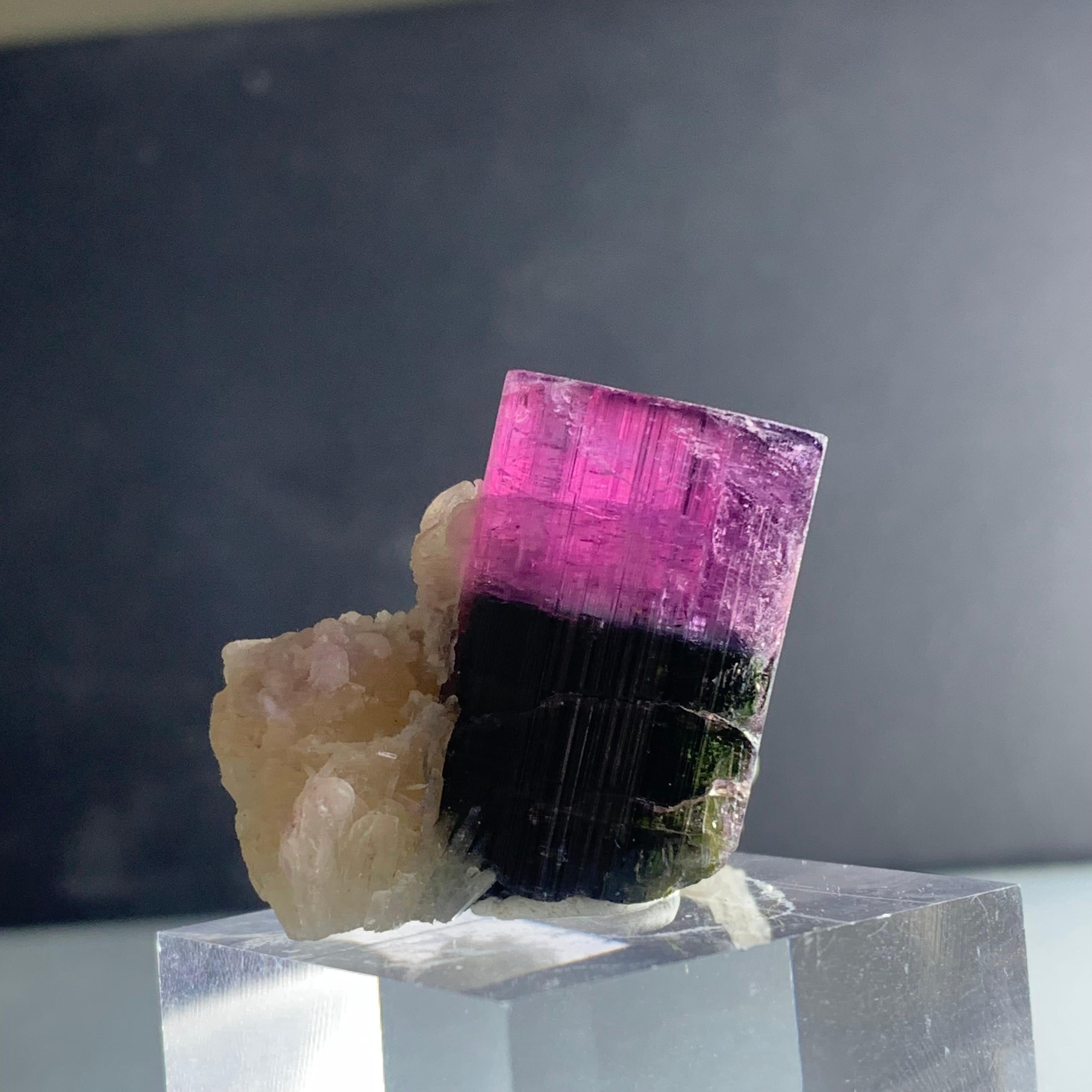Natural 81.95 Gram Bicolor Tourmaline Crystal Elongated On Mica Specimen 
WEIGHT: 81.95 grams
DIMENSION: 2.8 x 3.2 x 1.9 Cm
ORIGIN : Nooristan, Afghanistan
COLOR: Pink And Black
TREATMENT: None
Tourmaline is an extremely popular gemstone; the