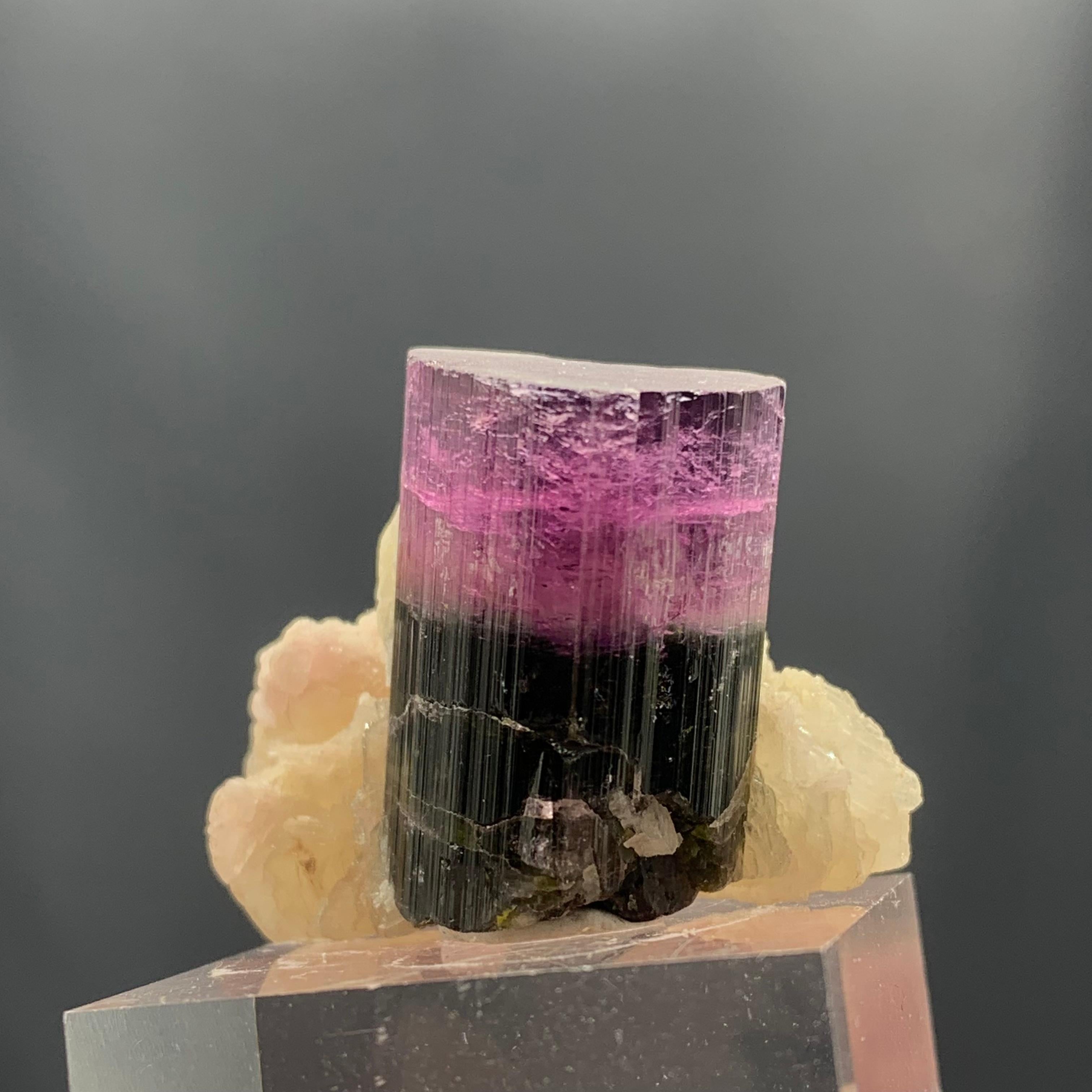 Other Natural 81.95 Gram Bicolor Tourmaline Crystal Elongated on Mica Specimen For Sale