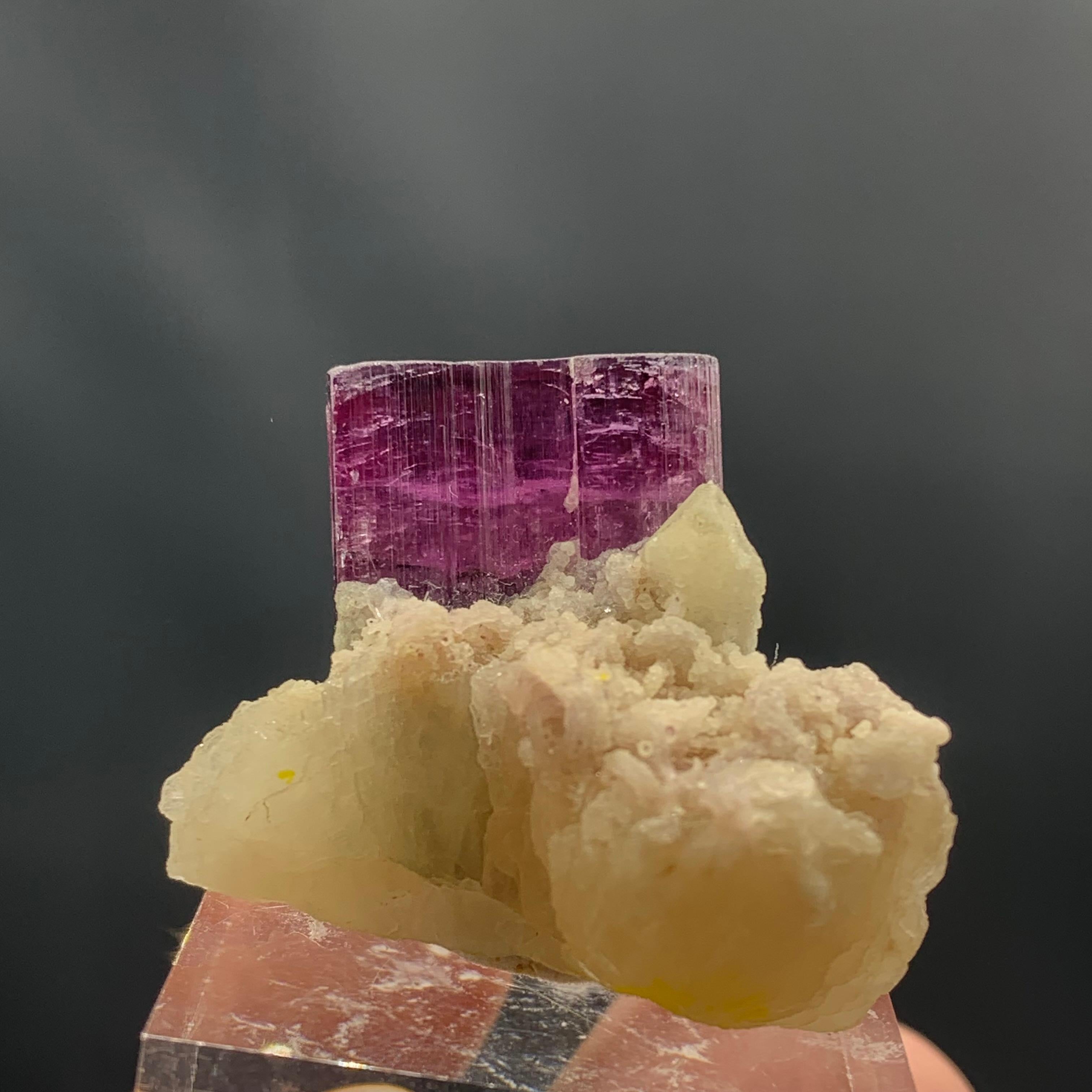 Natur 81,95 Gramm Bicolor Turmalin Kristall länglich auf Mica-Exemplar im Zustand „Gut“ im Angebot in Peshawar, PK