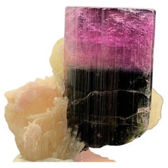 Cristal de tourmaline bicolore naturel allongé sur spécimen de mica de 81,95 grammes