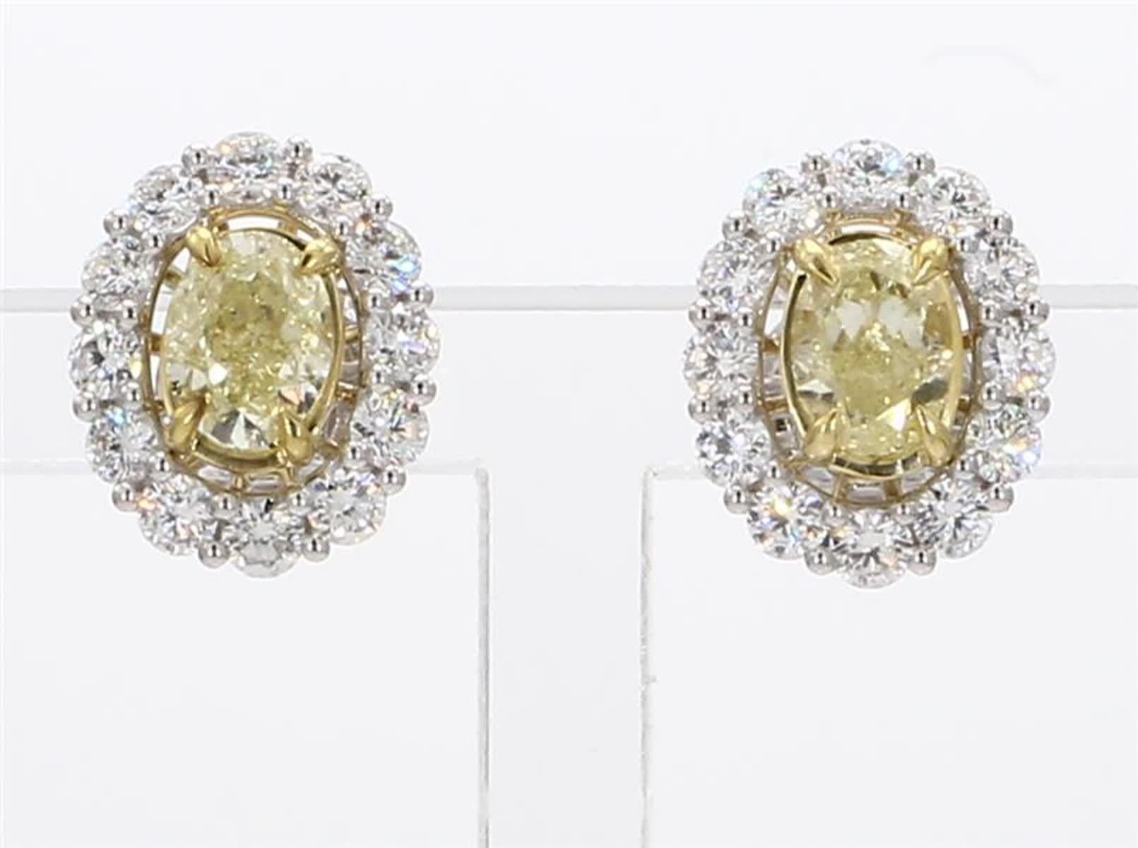 RareGemWorld's classic natural oval cut yellow diamond earrings. Mounted in a beautiful 18K Yellow and White Gold setting with natural oval cut yellow diamonds. The yellow diamonds are surrounded by a halo of small round natural white diamond melee.
