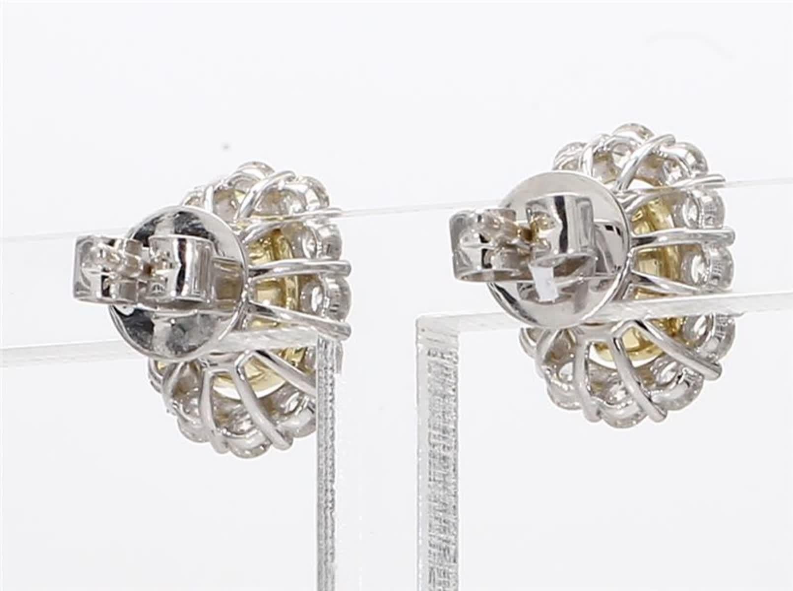 Natural Yellow Oval and White Diamond 2.67 Carat TW Gold Stud Earrings In New Condition In New York, NY
