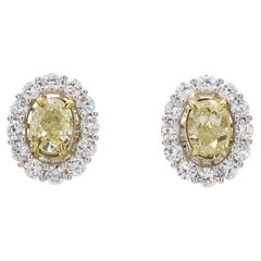 Natural Yellow Oval and White Diamond 2.67 Carat TW Gold Stud Earrings