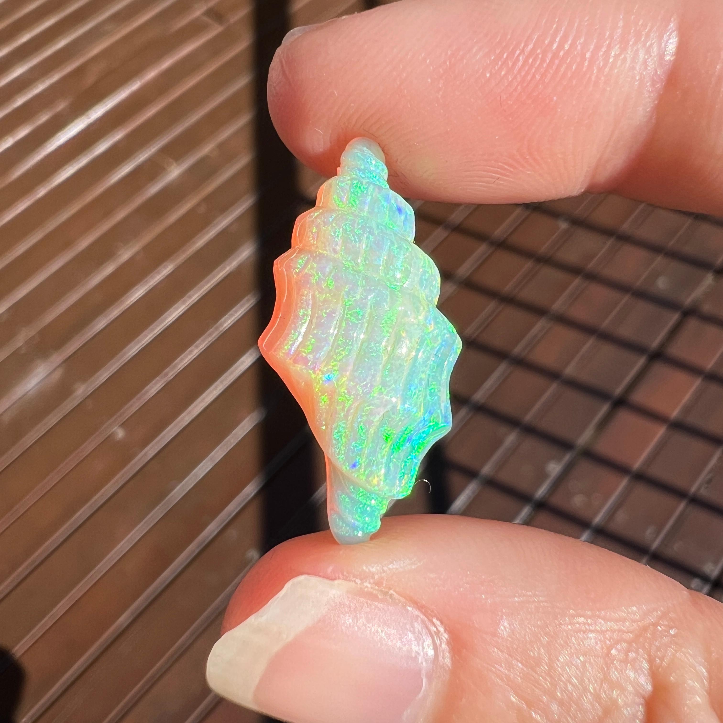 Cabochon Natural 9.47 Ct Australian crystal conch-shell opal carving mined by Sue Cooper For Sale