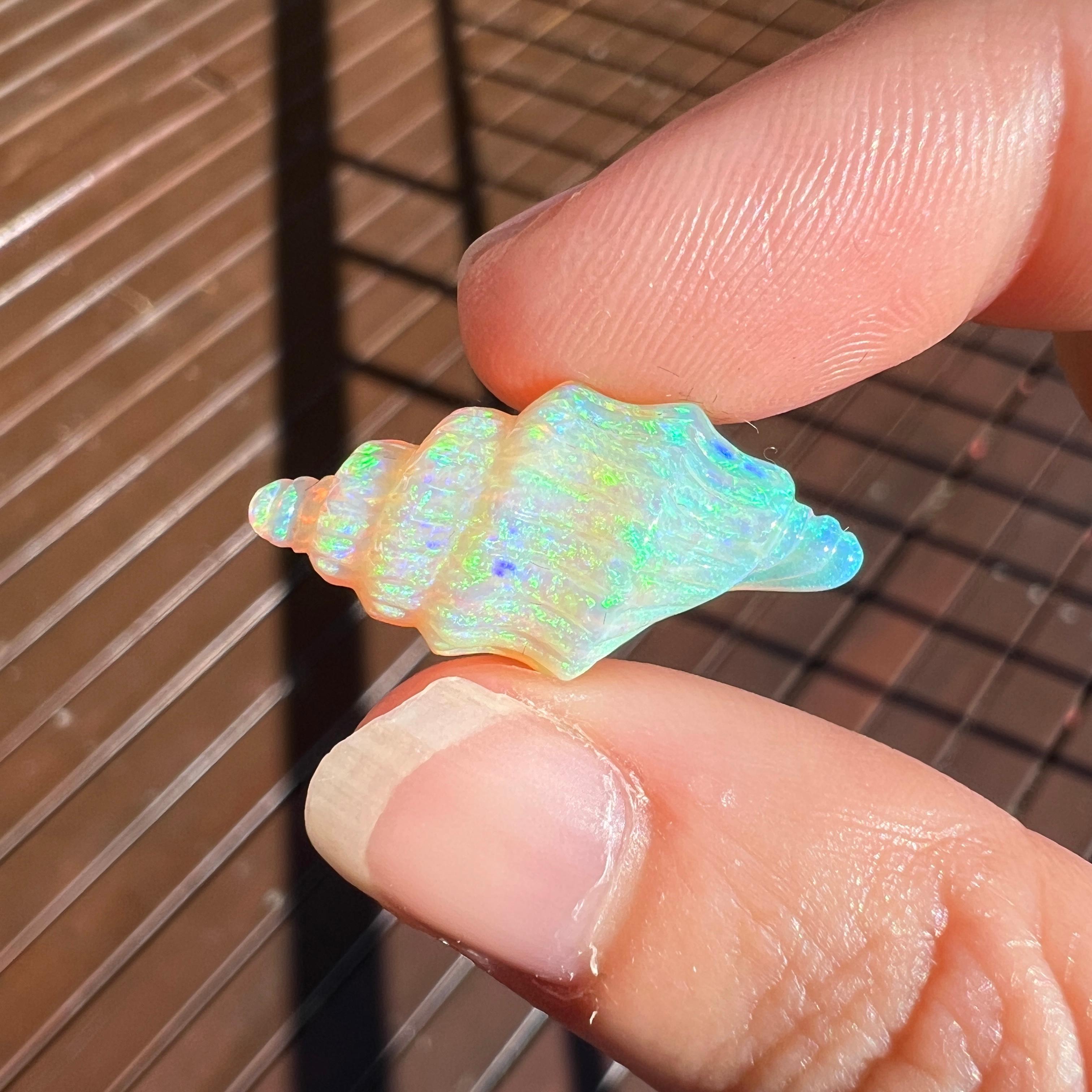 Natural 9.47 Ct Australian crystal conch-shell opal carving mined by Sue Cooper In New Condition For Sale In BELCONNEN, ACT