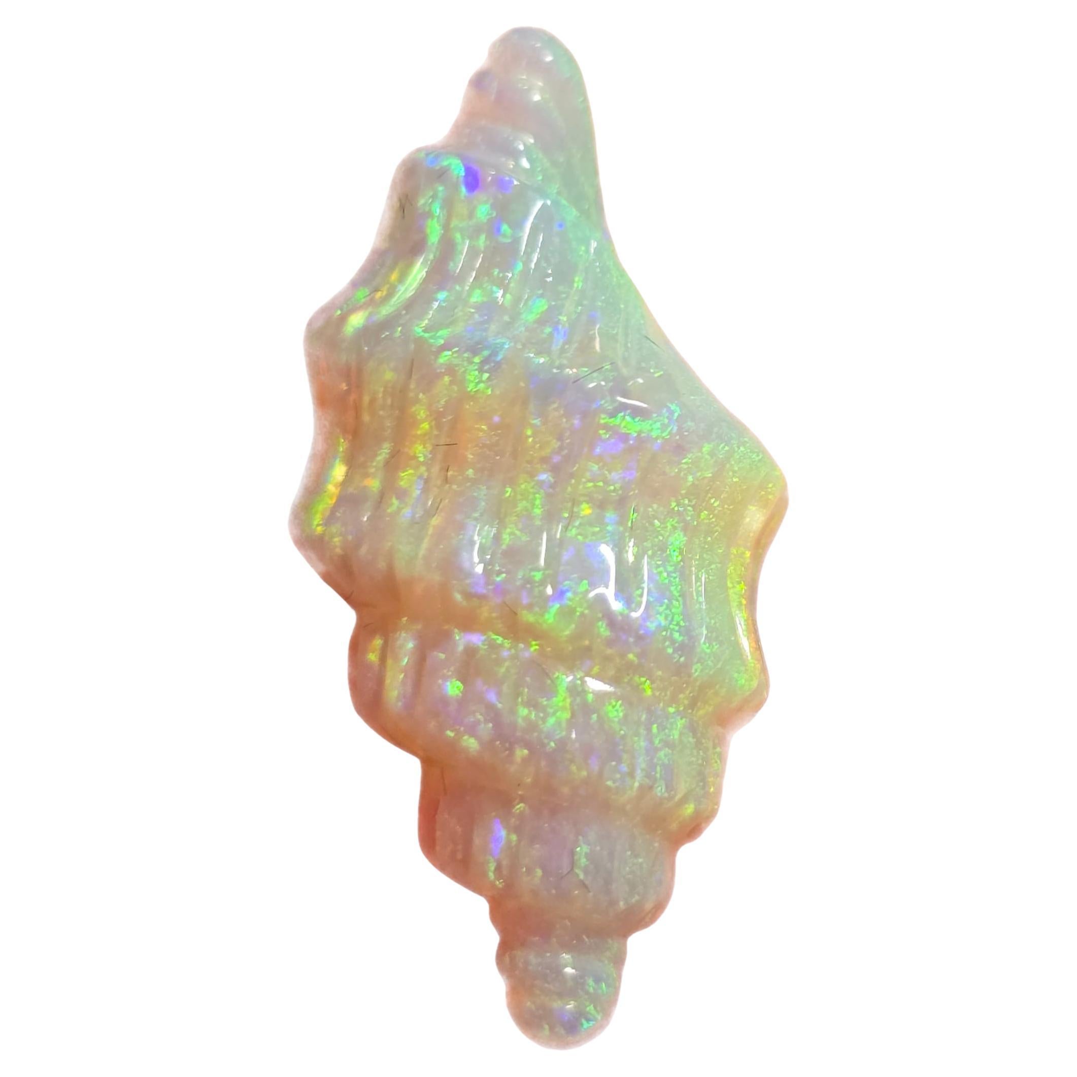Natural 9.47 Ct Australian crystal conch-shell opal carving mined by Sue Cooper For Sale