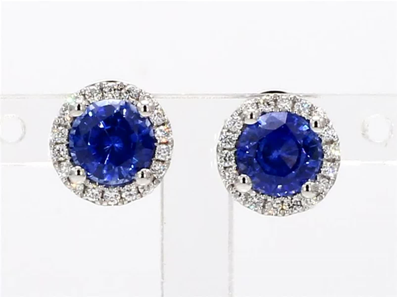 RareGemWorld's classic natural round cut sapphire earrings. Mounted in a beautiful 14K White Gold setting with natural round cut blue sapphires. The sapphires are surrounded by natural round white diamond melee in a beautiful single halo. These