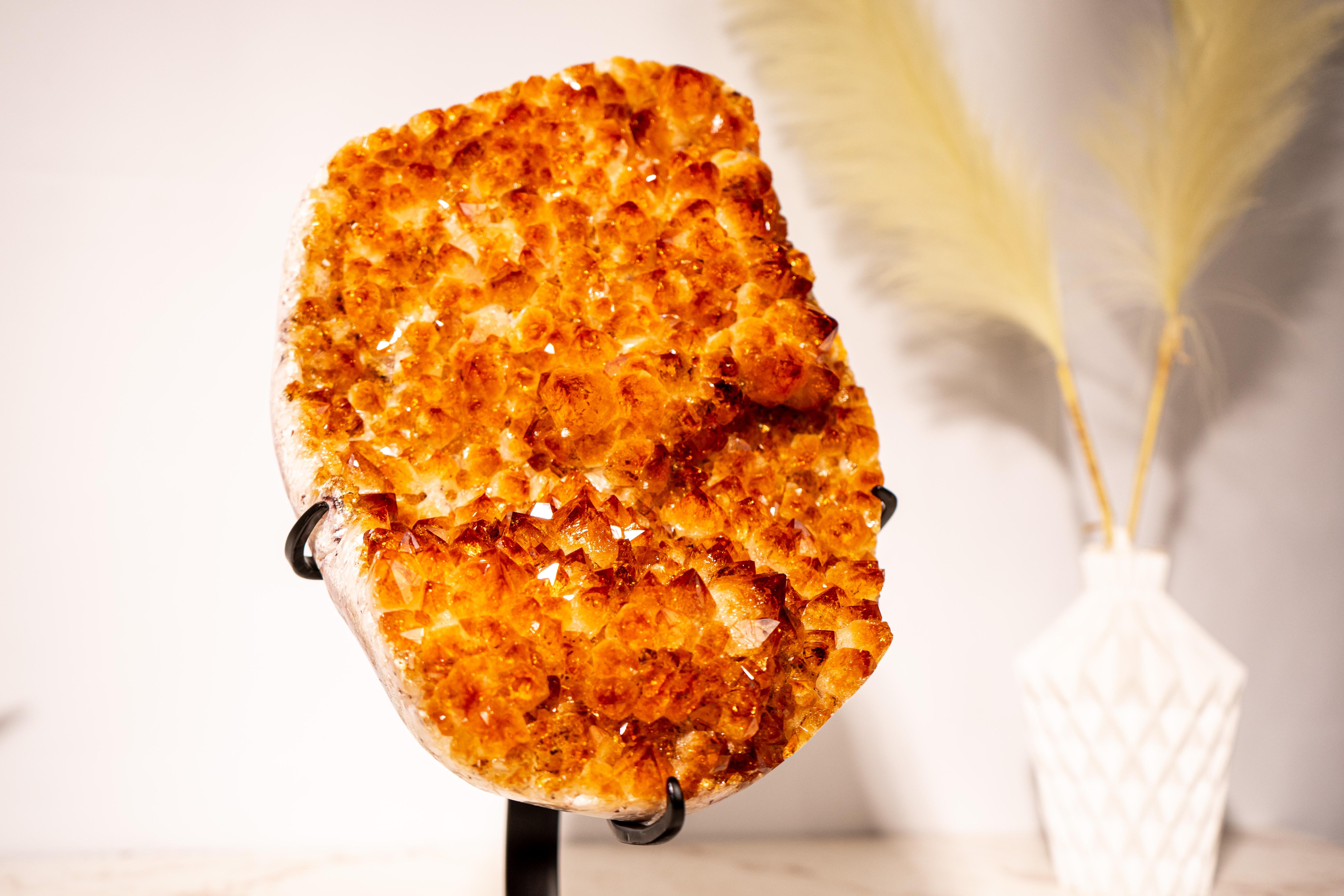 Cluster di fiori di citrino naturale con druzy arancione del tramonto di grado AAA su supporto

▫️ Descrizione ▫️

Un cluster di citrino naturale che sfoggia una splendida estetica, completata da superbe rosette di fiori cristallizzati di colore
