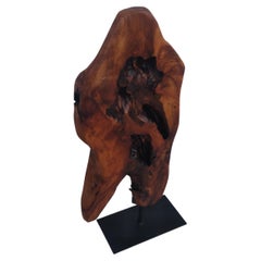 Escultura Abstracta Natural de Madera de Burl sobre Soporte Metálico