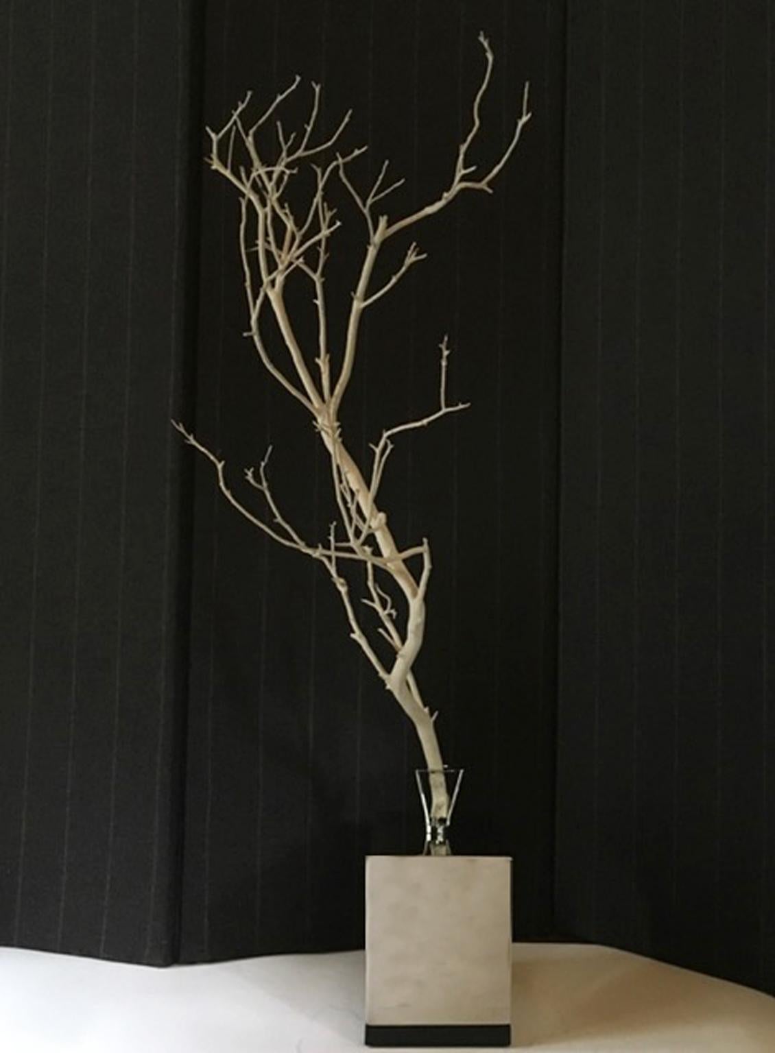 Natural abstract white birch branch on a chrome stand in Italian design 21th Century

This is a white mat lacquered natural birch branch mounted on a metal chrome stand with a black wood base. The branch is removable and the base can be used with