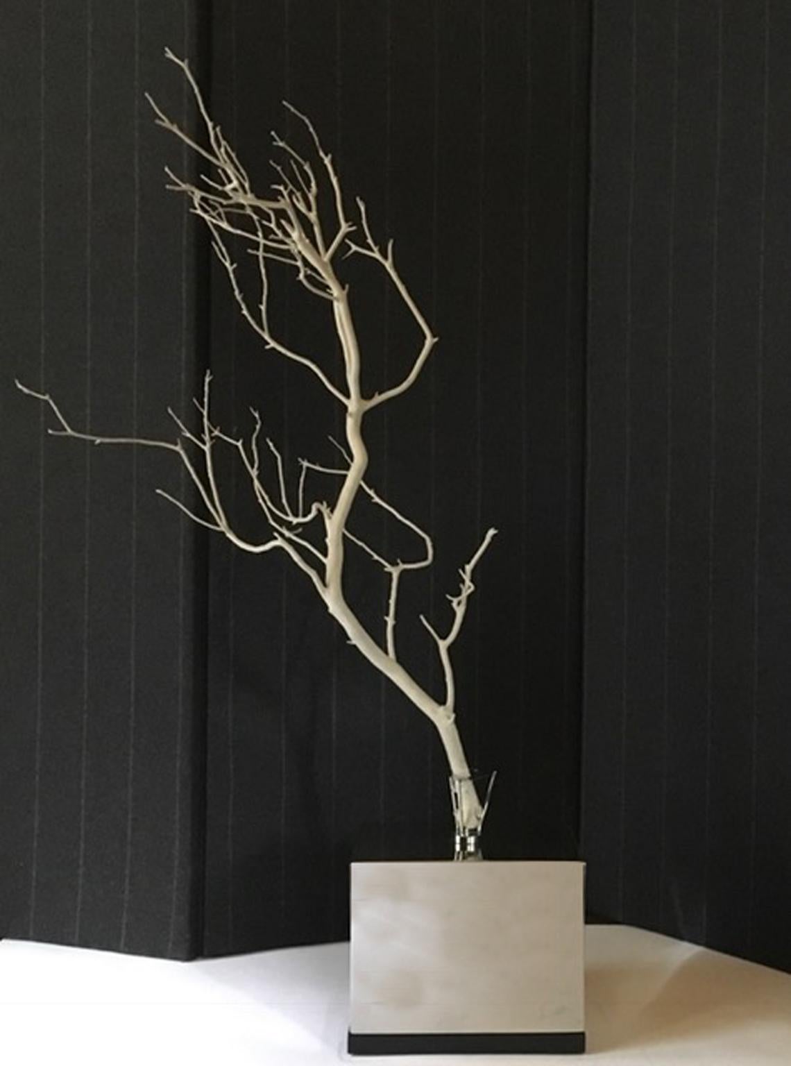 Italy Natural Abstract White Birch Branch on Chrome Stand In Good Condition For Sale In Brescia, IT