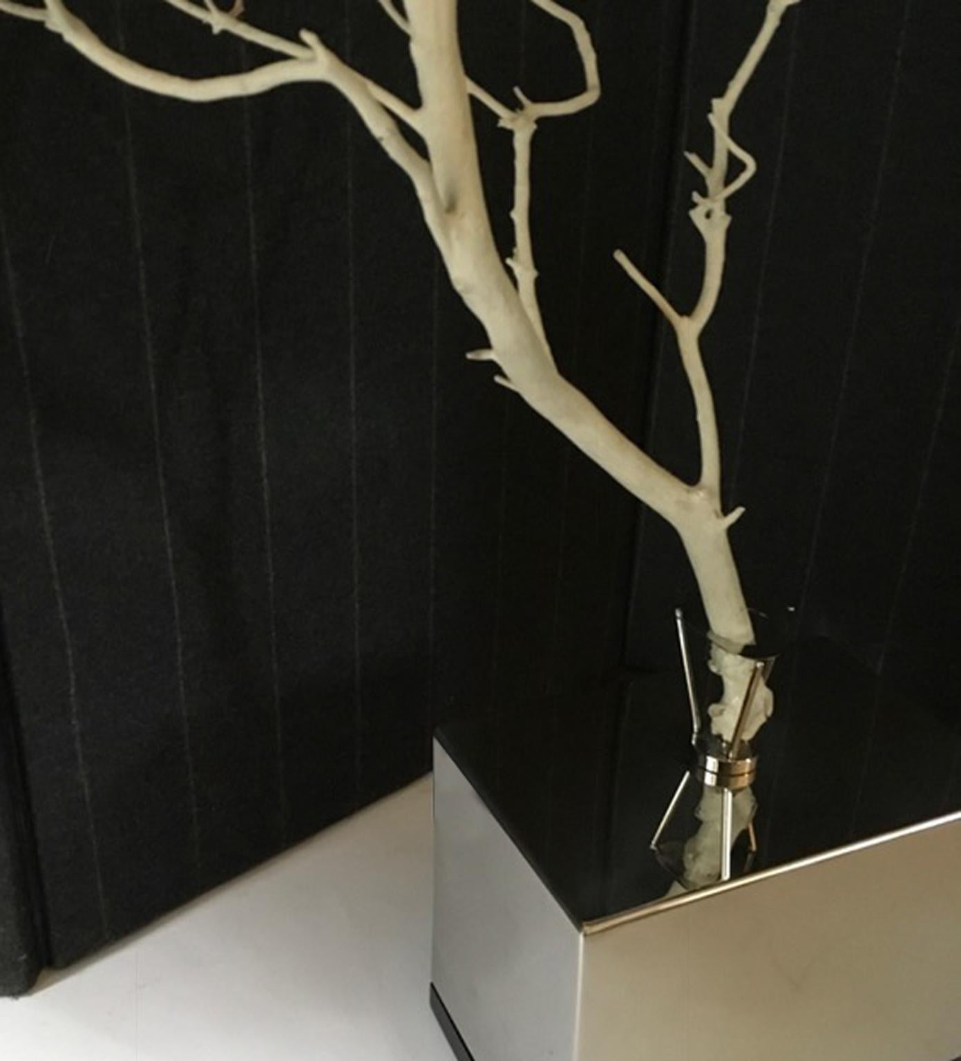 Italy Natural Abstract White Birch Branch on Chrome Stand For Sale 1
