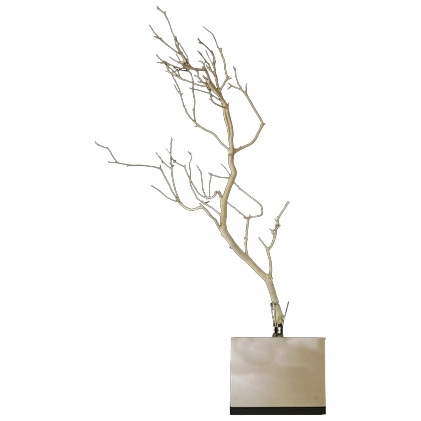 Italy Natural Abstract White Birch Branch on Chrome Stand For Sale