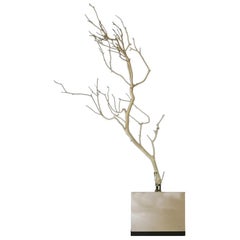 Italy Natural Abstract White Birch Branch on Chrome Stand