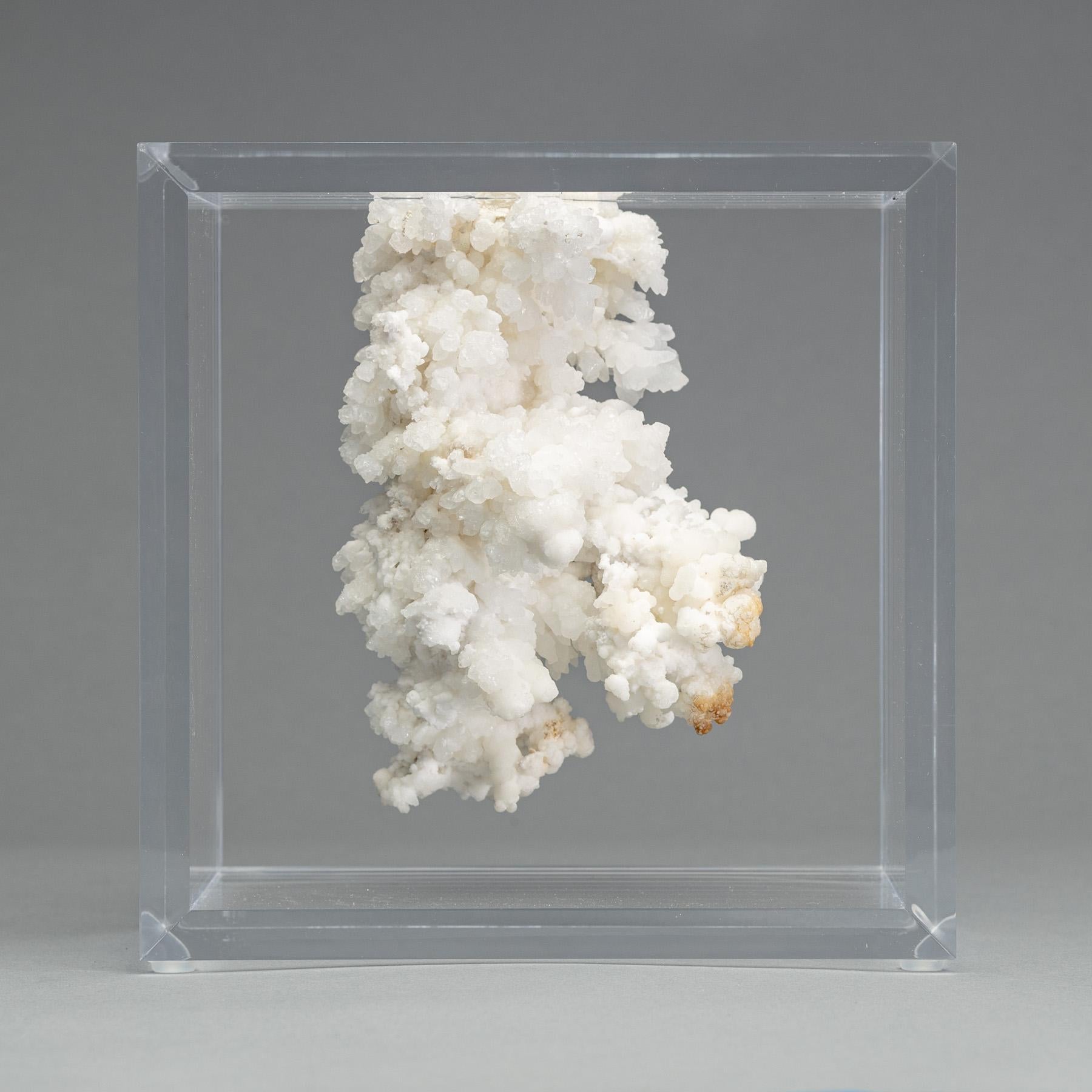 A spectacular formation of Morocan aragonite crystal clusters, also known as cave calcite. 
This one of a kind, variety of calcium carbonate mineral looks incredibly as a coral.
Mounted on an original design to have the aragonite floating effect.

