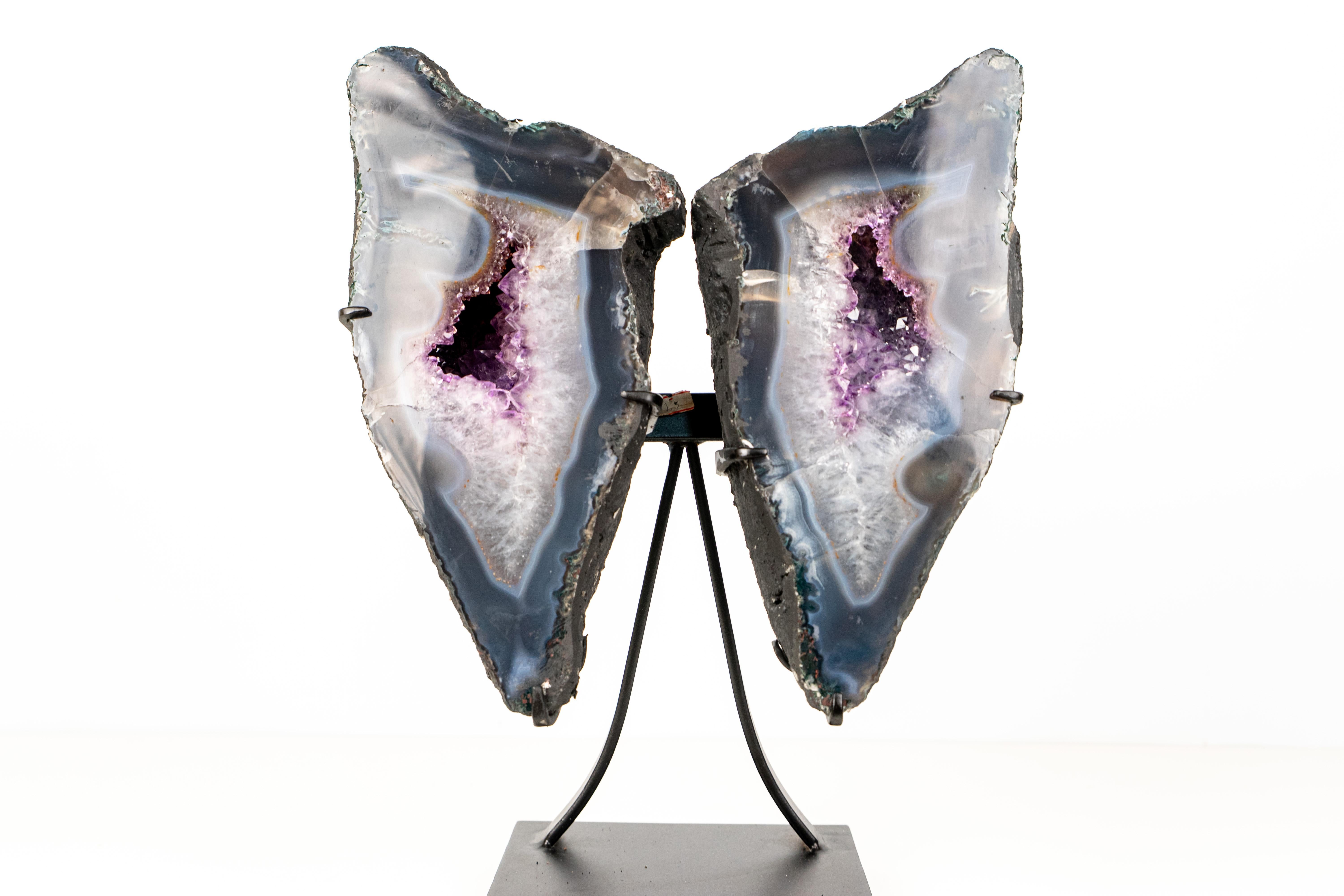 Agate Butterfly Geode with Blue and White Lace Agate

▫️ Description

Beautiful from every angle, this Agate Butterfly Geode showcases high-quality lace agate patterns combined with sparkling druzy crystals — a perfect illustration of how nature
