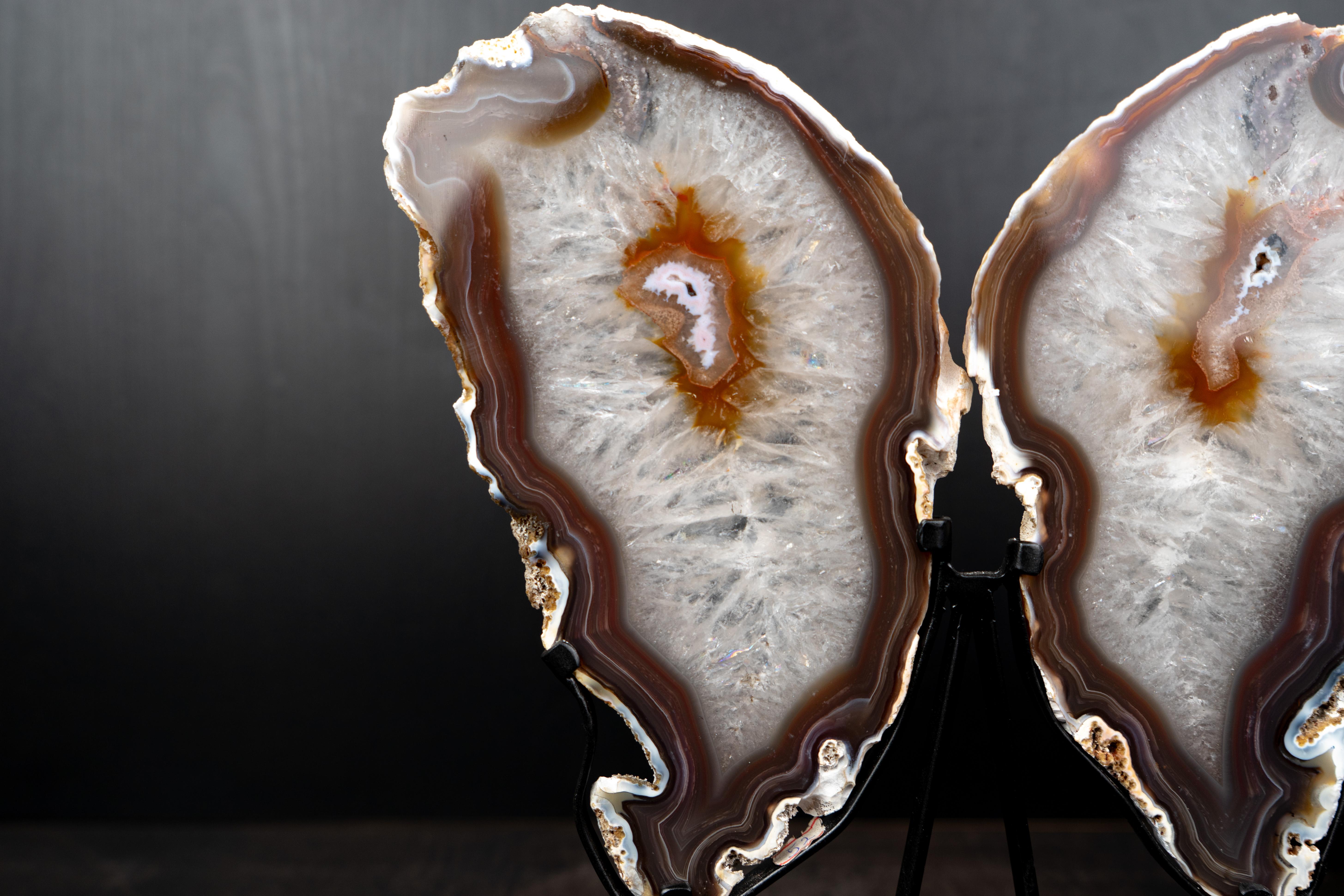 Nature’s Artwork: Perfectly Formed and Fully Intact Agate & Crystal Butterfly Wings – 100% Natural

▫️ Description

Sculptural and rare, with beautifully balanced aesthetics, this crystal agate geode will surely elevate your collection or space.